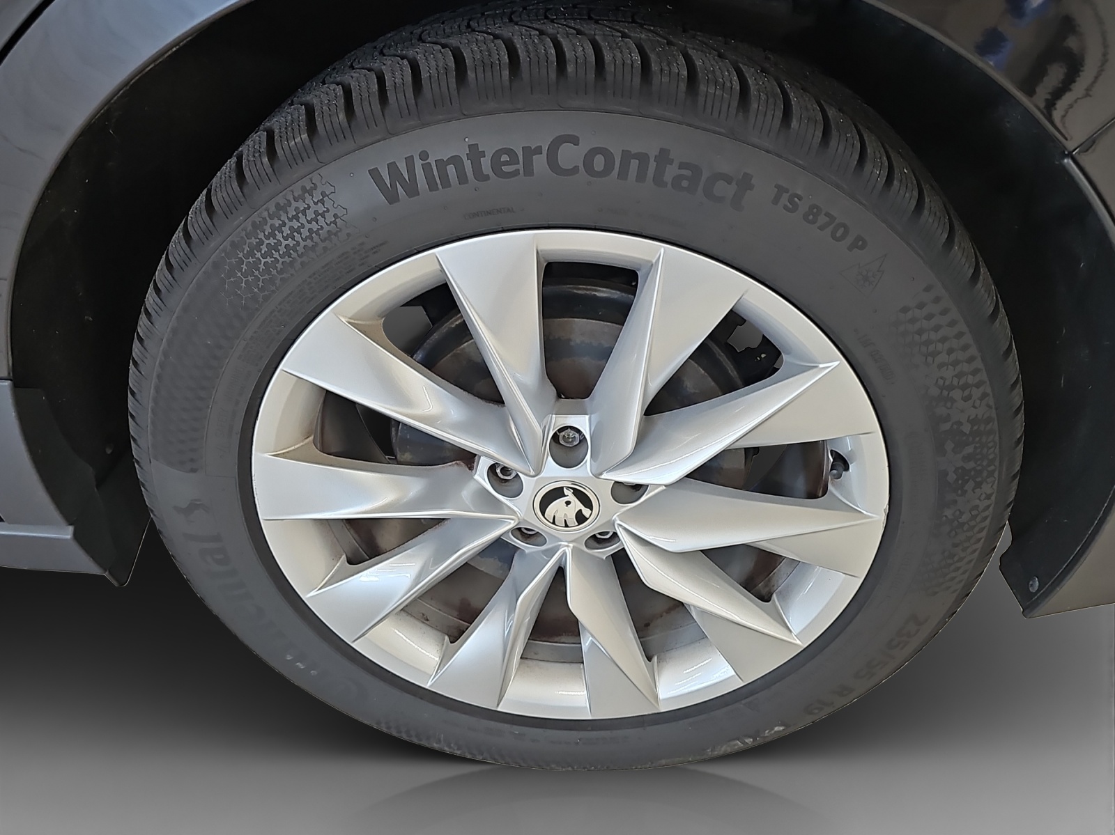 SKODA Enyaq iV 80x-image-15