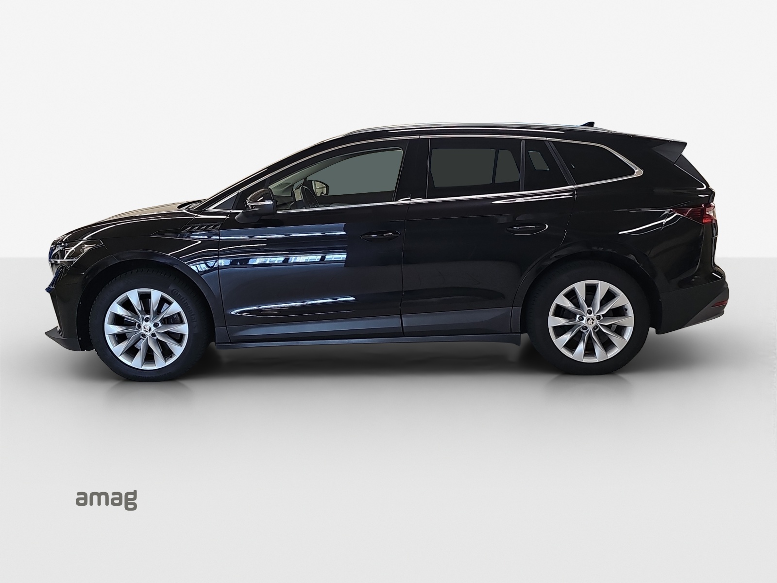 SKODA Enyaq iV 80x-image-1