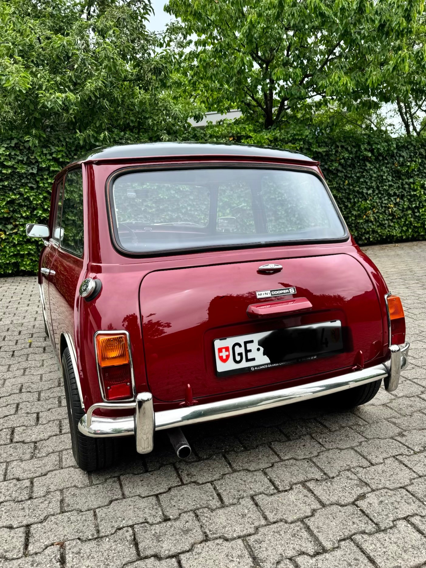 MINI 1000-image-2
