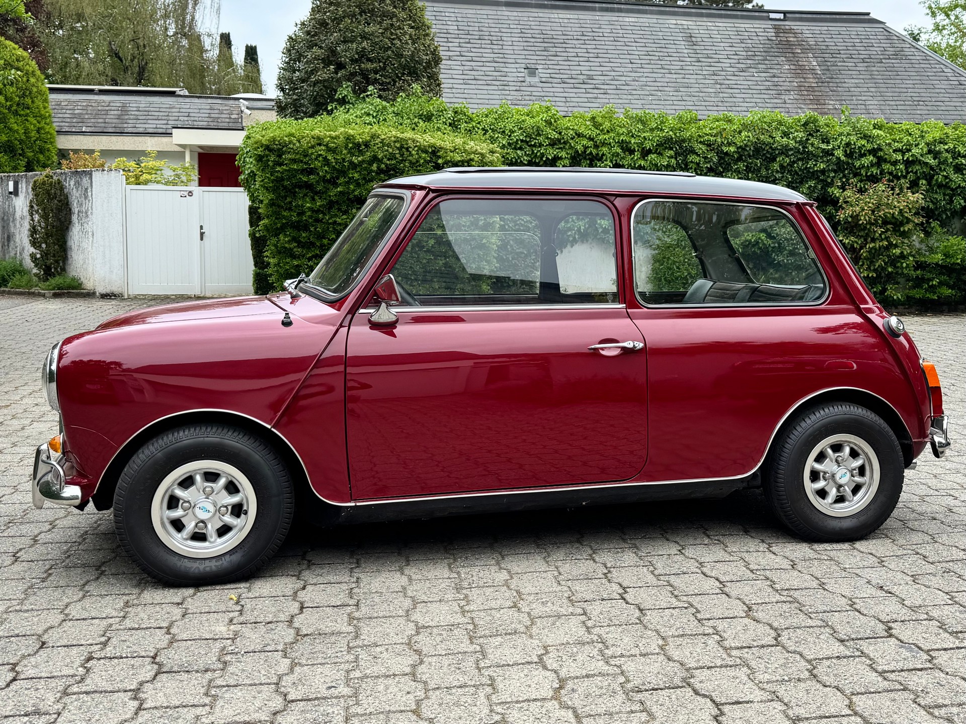 MINI 1000-image-1