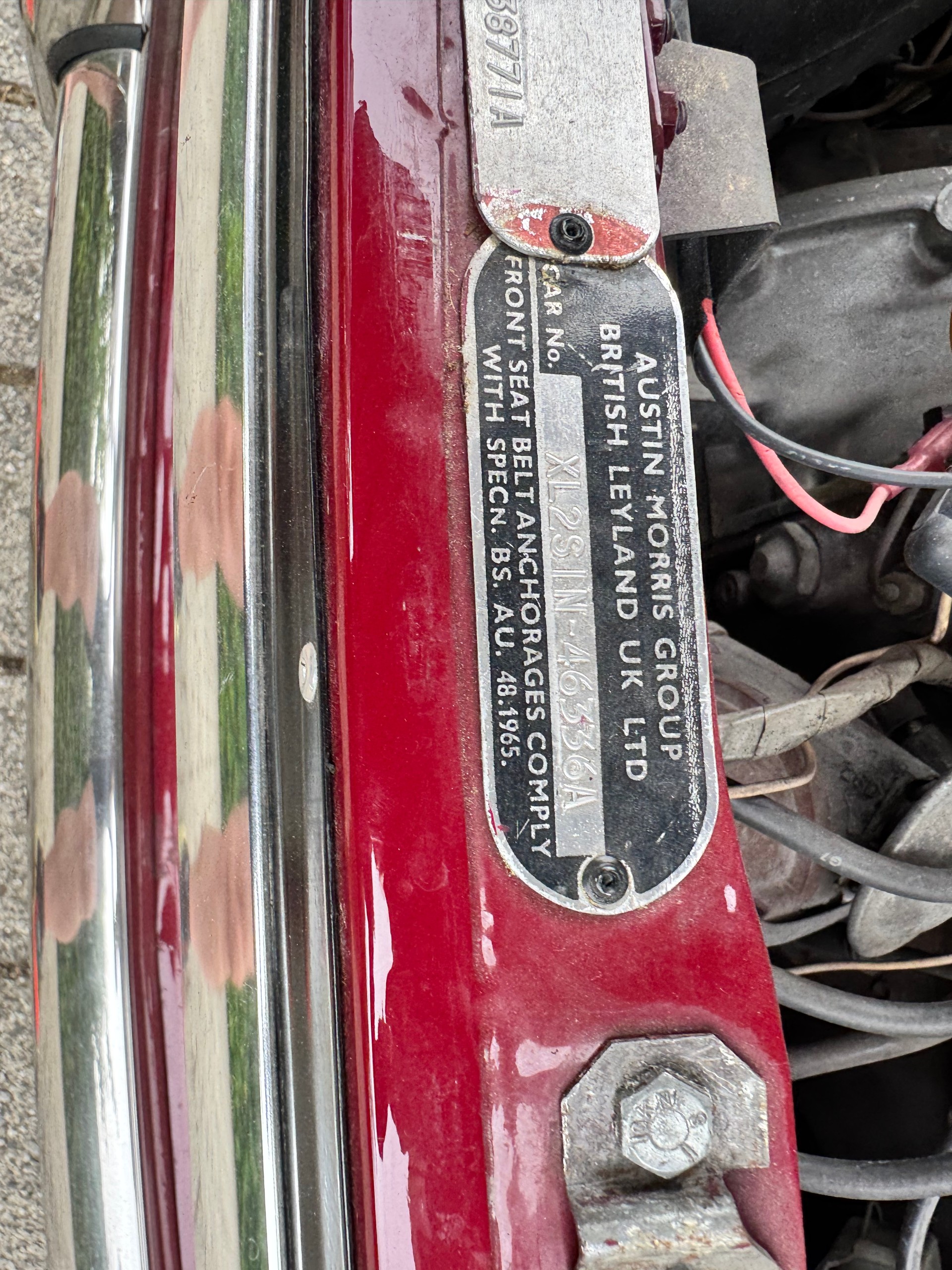 MINI 1000-image-5