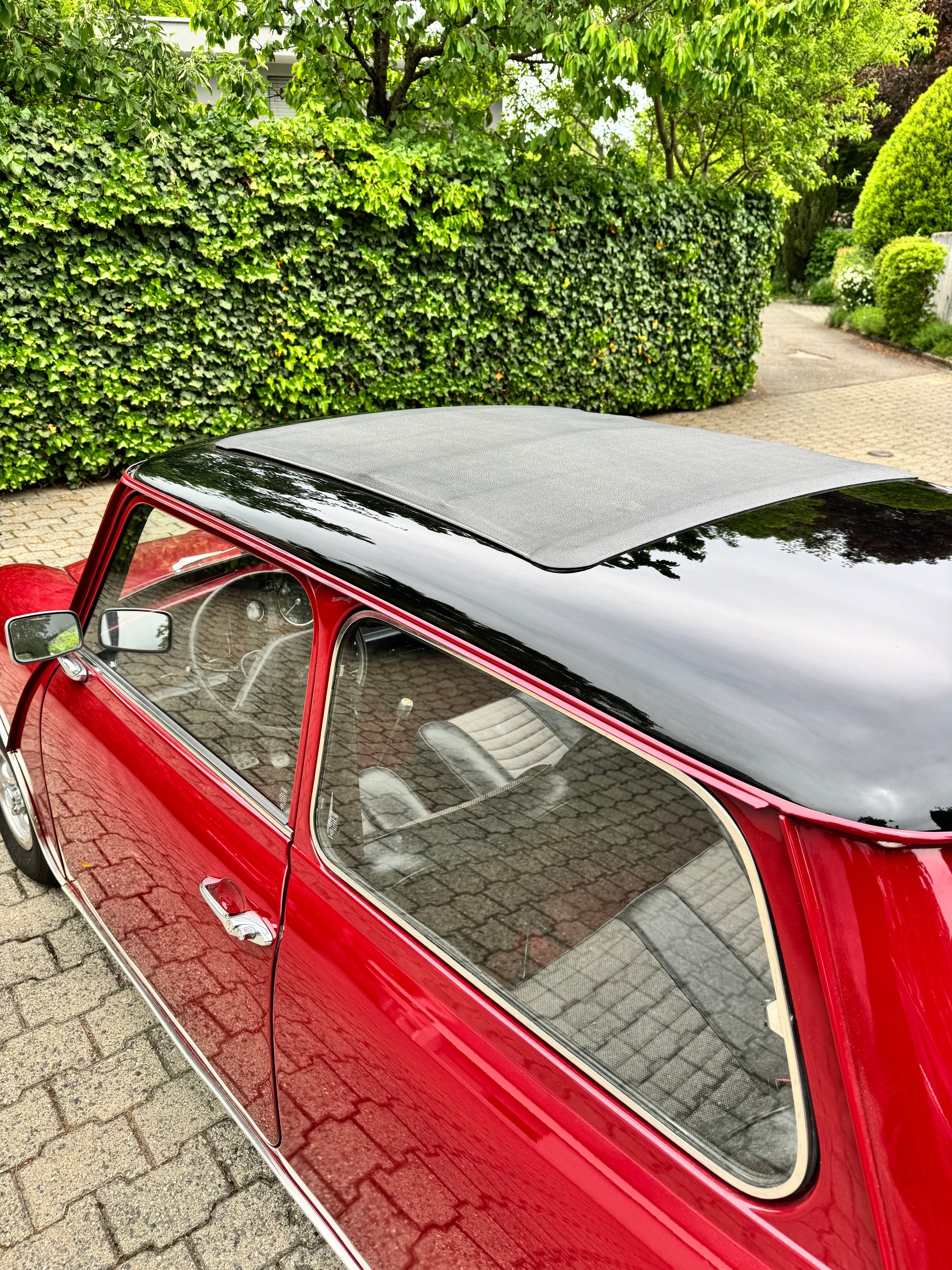 MINI 1000-image-3
