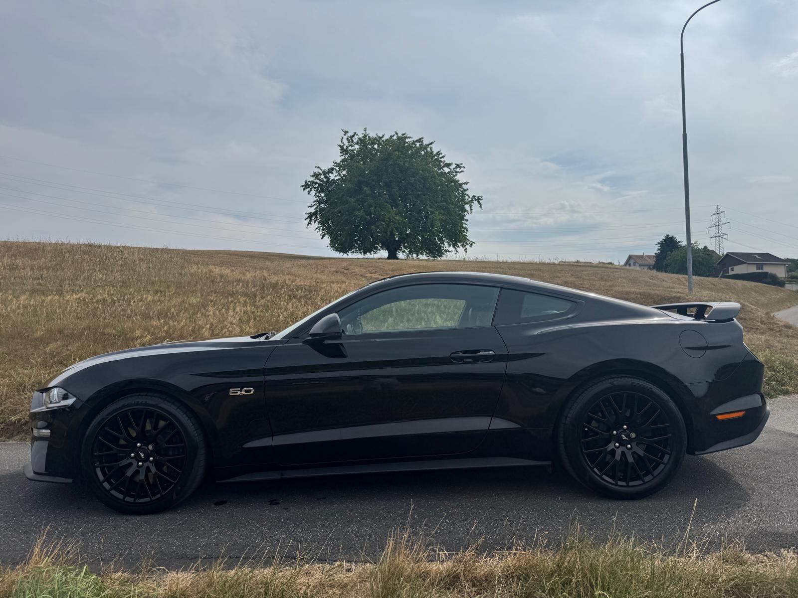 FORD 5.0 V8 GT-image-2