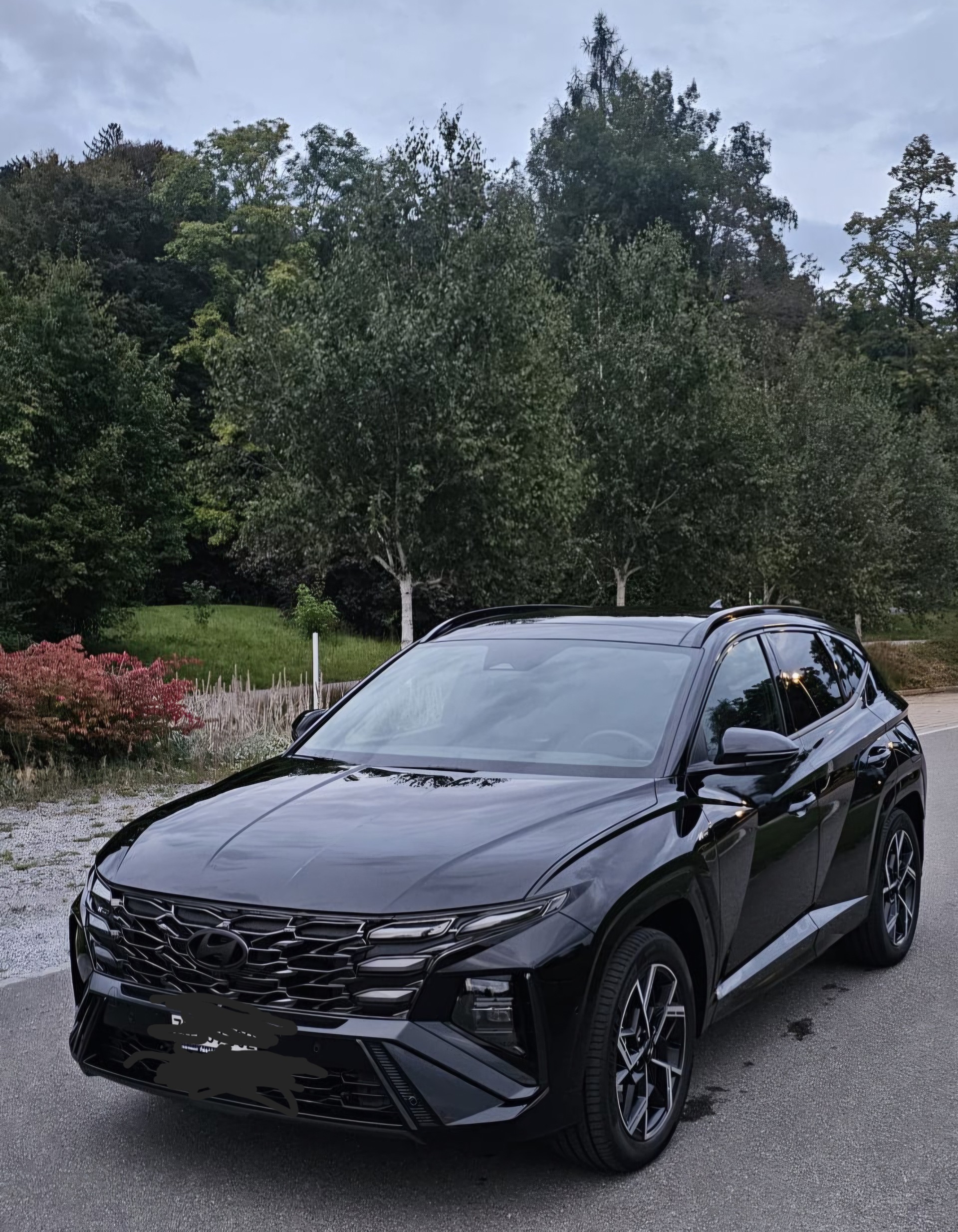 HYUNDAI 1.6 T-GDi PHEV N-Line LUX.pack 4WD-image-8