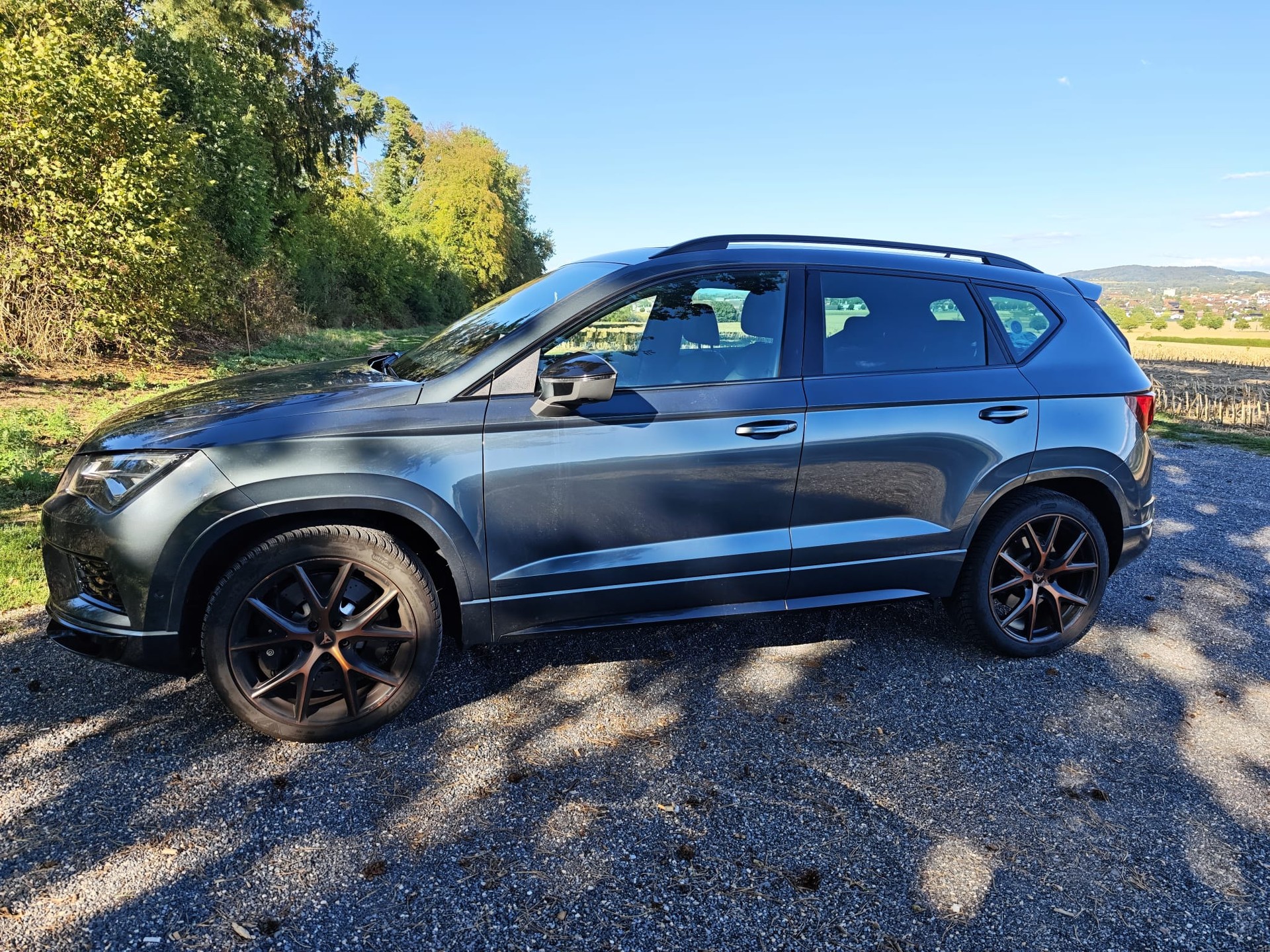 CUPRA 2.0 TSI 4Drive DSG-image-3
