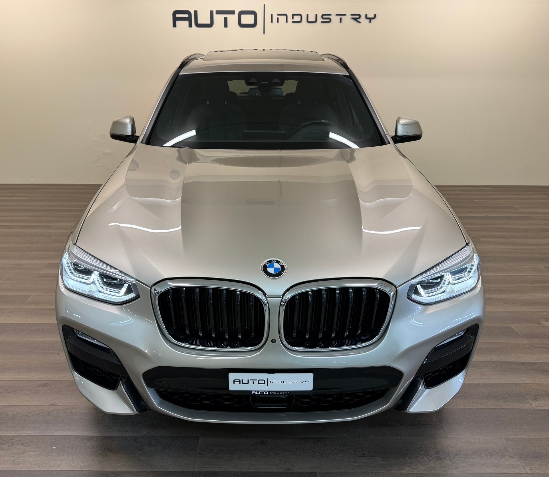 BMW X3 xDrive 30d M Sport Steptronic-image-6