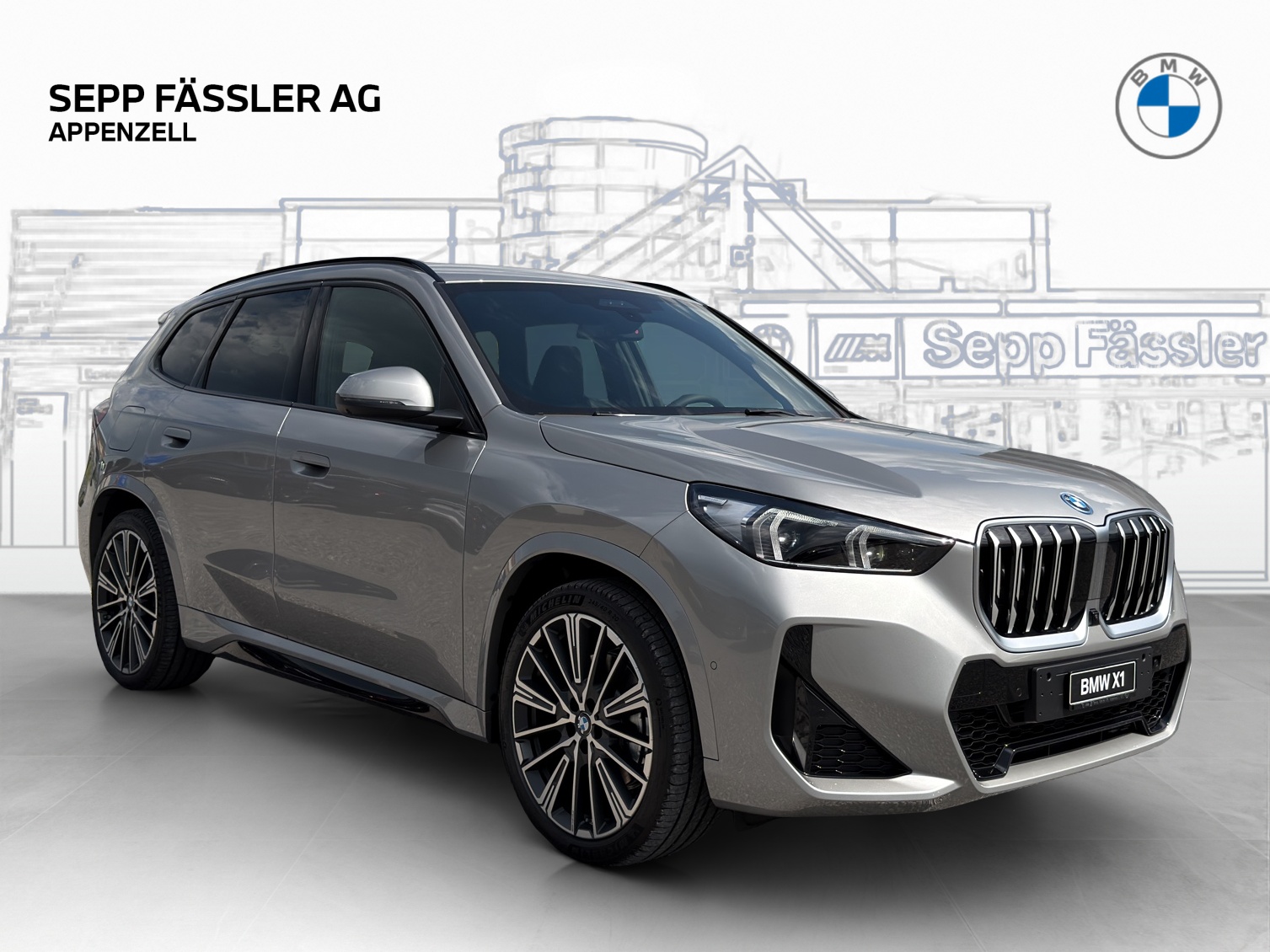 BMW X1 xDrive 30e M Sport-image-6