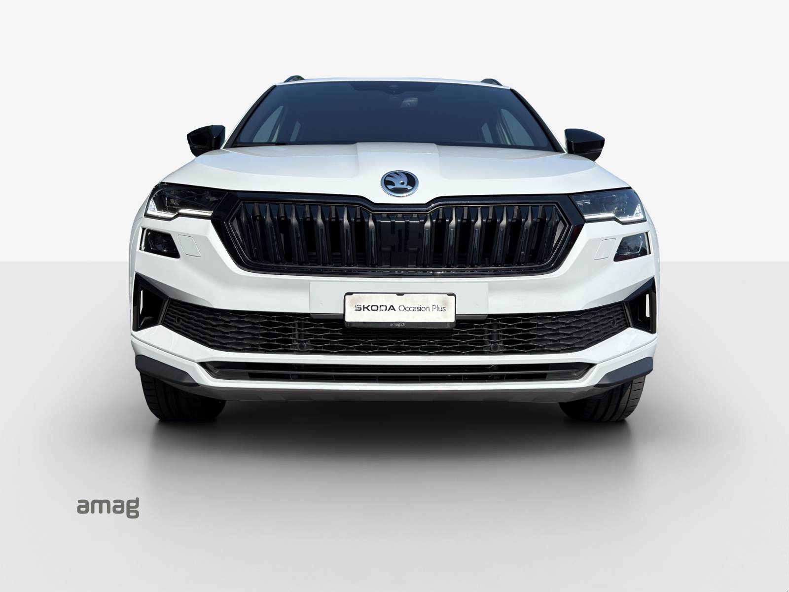 SKODA Karoq 1.5 TSI SportLine DSG-image-6