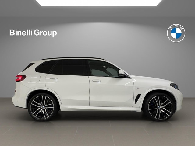 BMW 48V 30d M Sport Steptronic-image-2