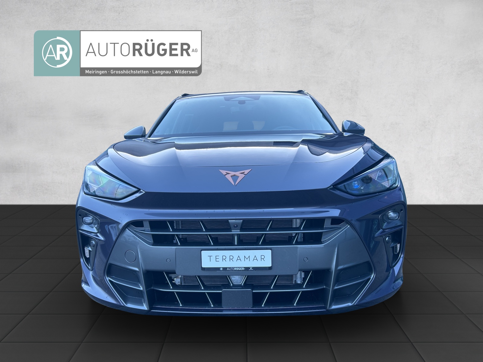 CUPRA TERRAMAR-image-1