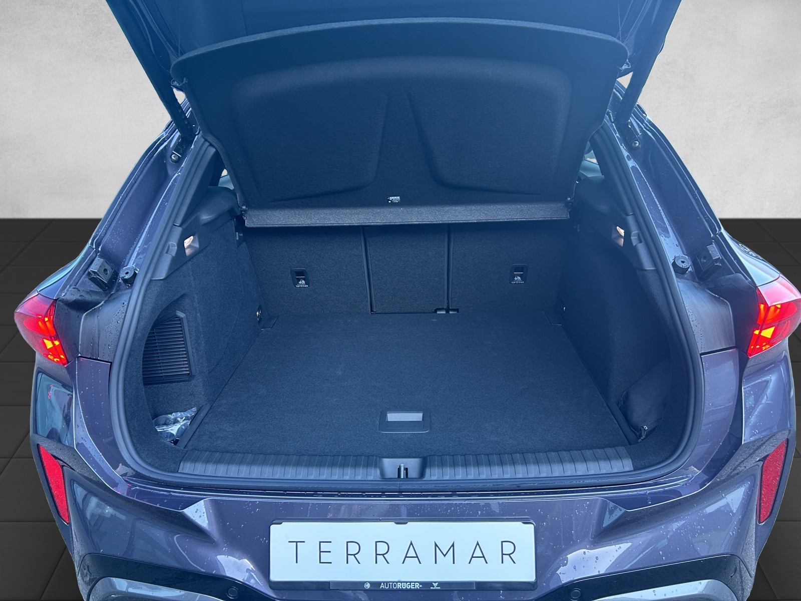 CUPRA TERRAMAR-image-10