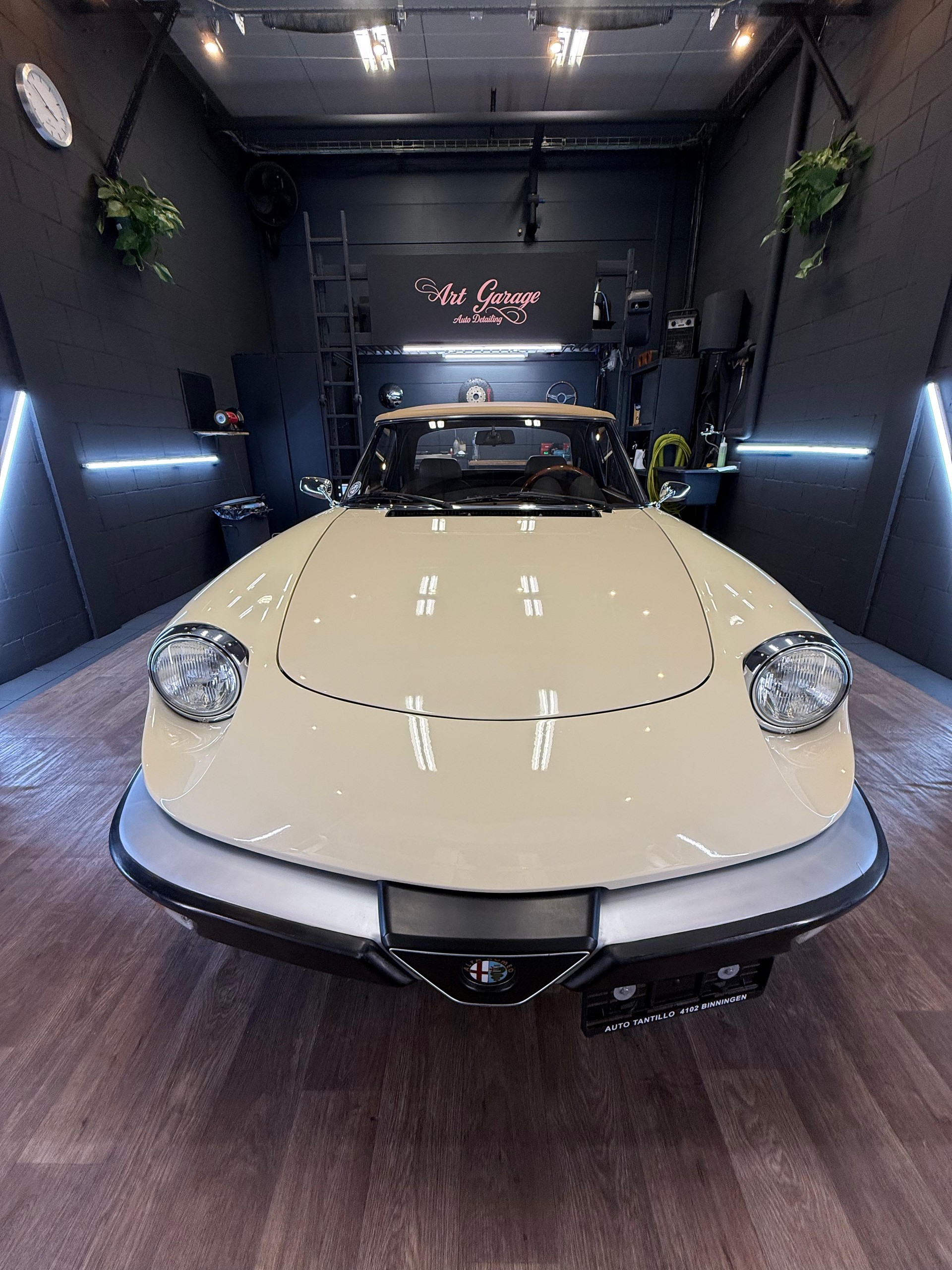 ALFA ROMEO Spider 2.0 (Veloce) 128 PS, Doppelvergaser, Veteran 08.2025-showroom-element-3