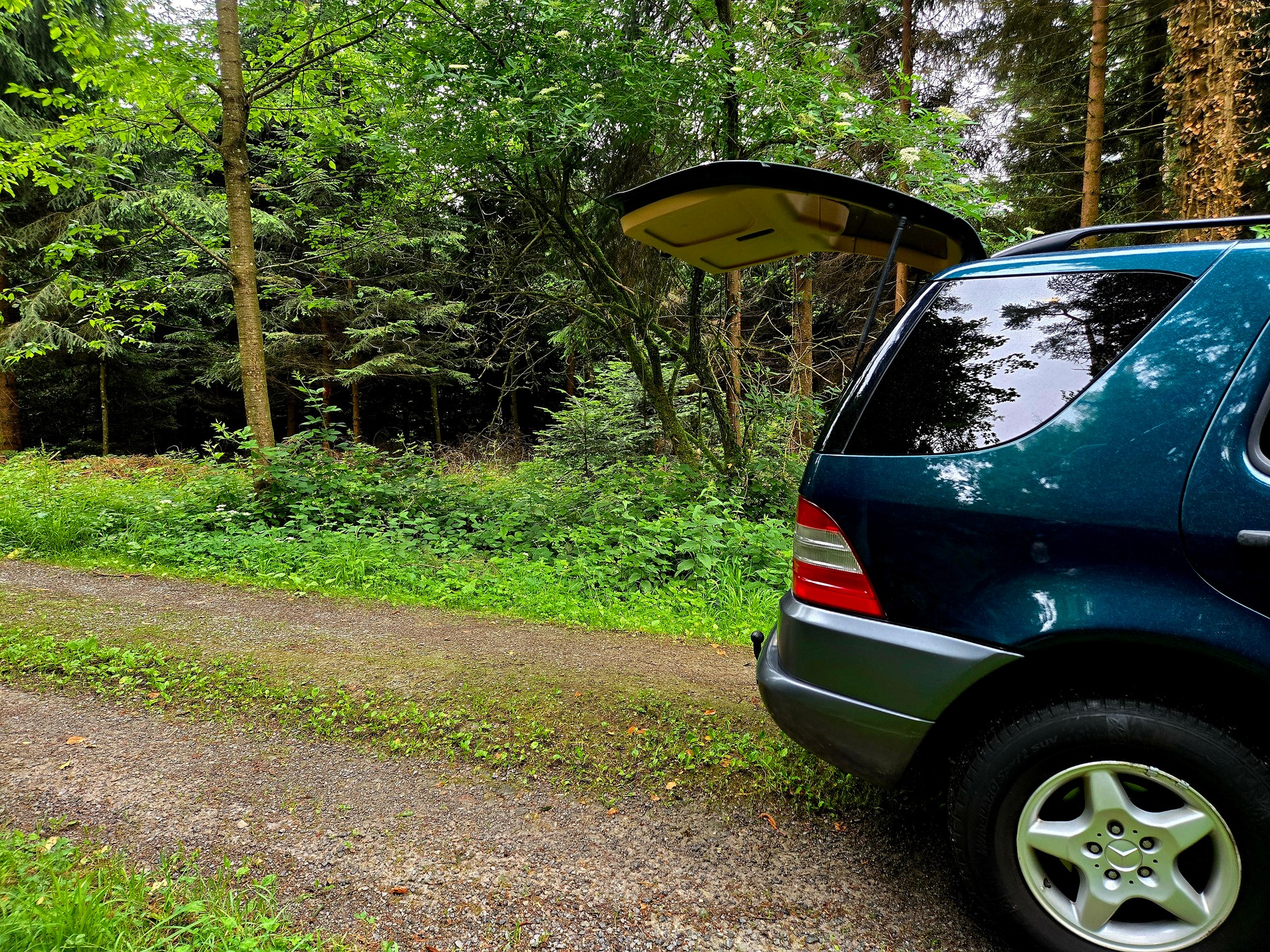 MERCEDES-BENZ ML 320 Automatic-image-11