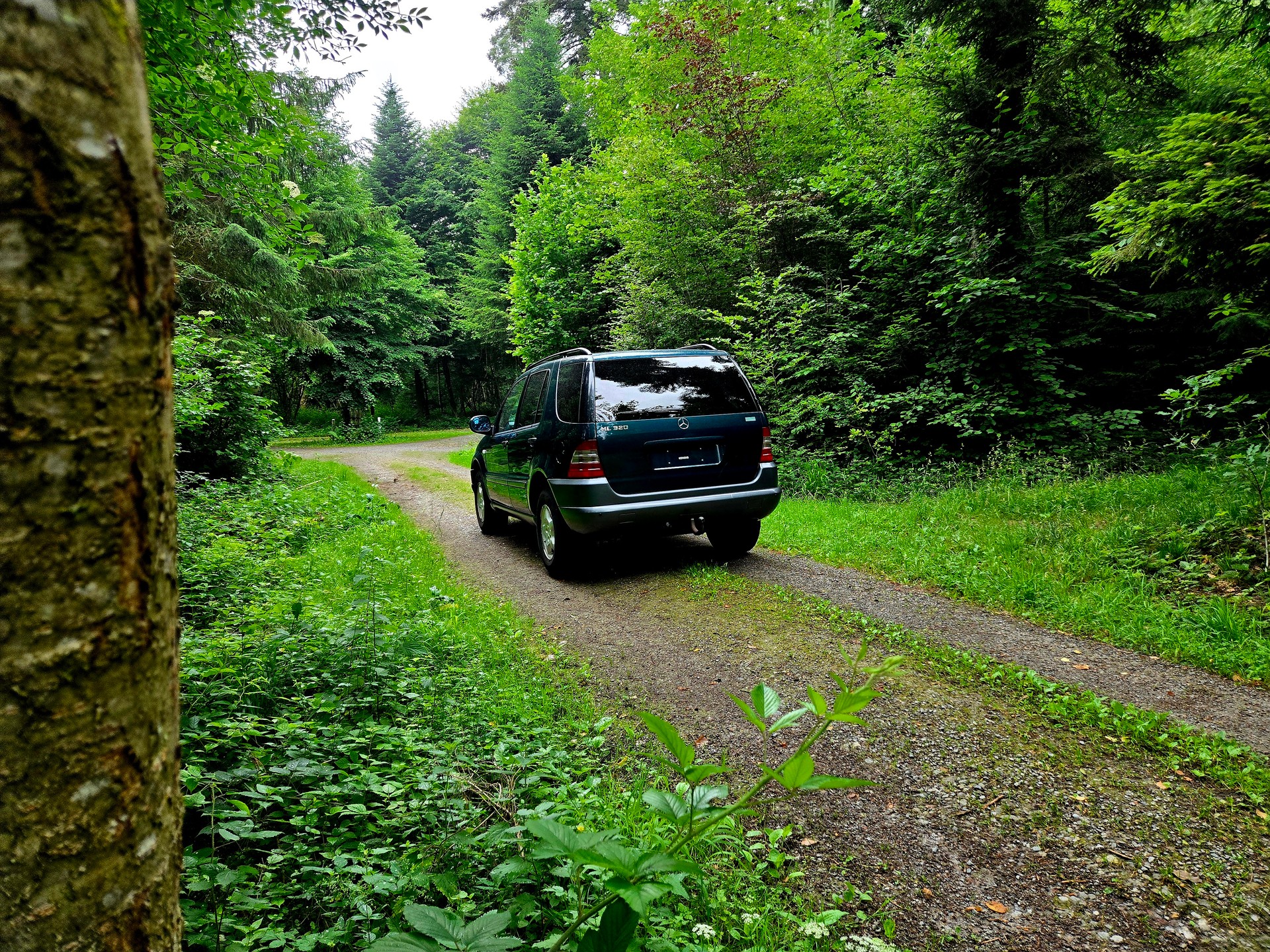 MERCEDES-BENZ ML 320 Automatic-image-8
