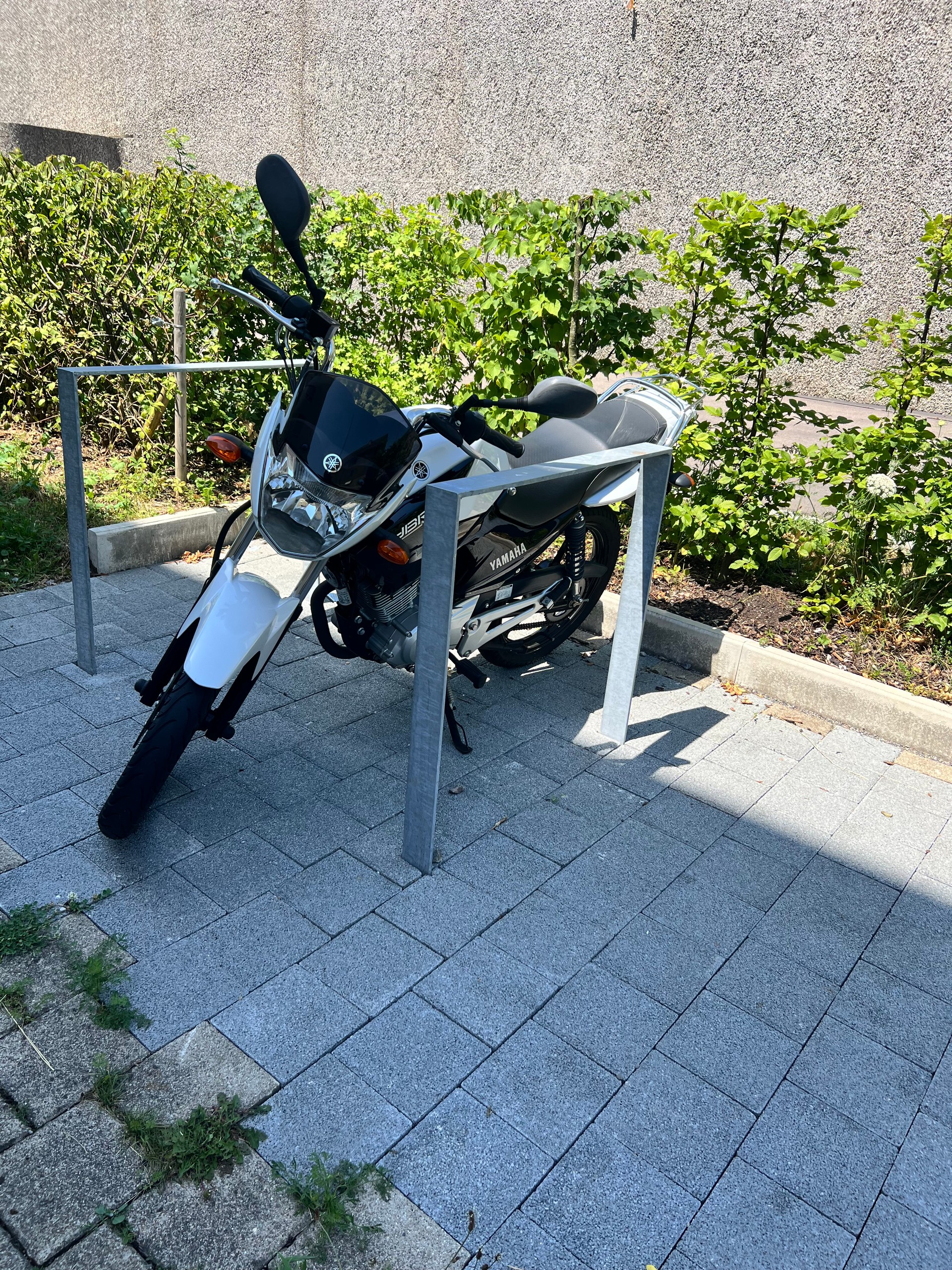 YAMAHA YBR 125