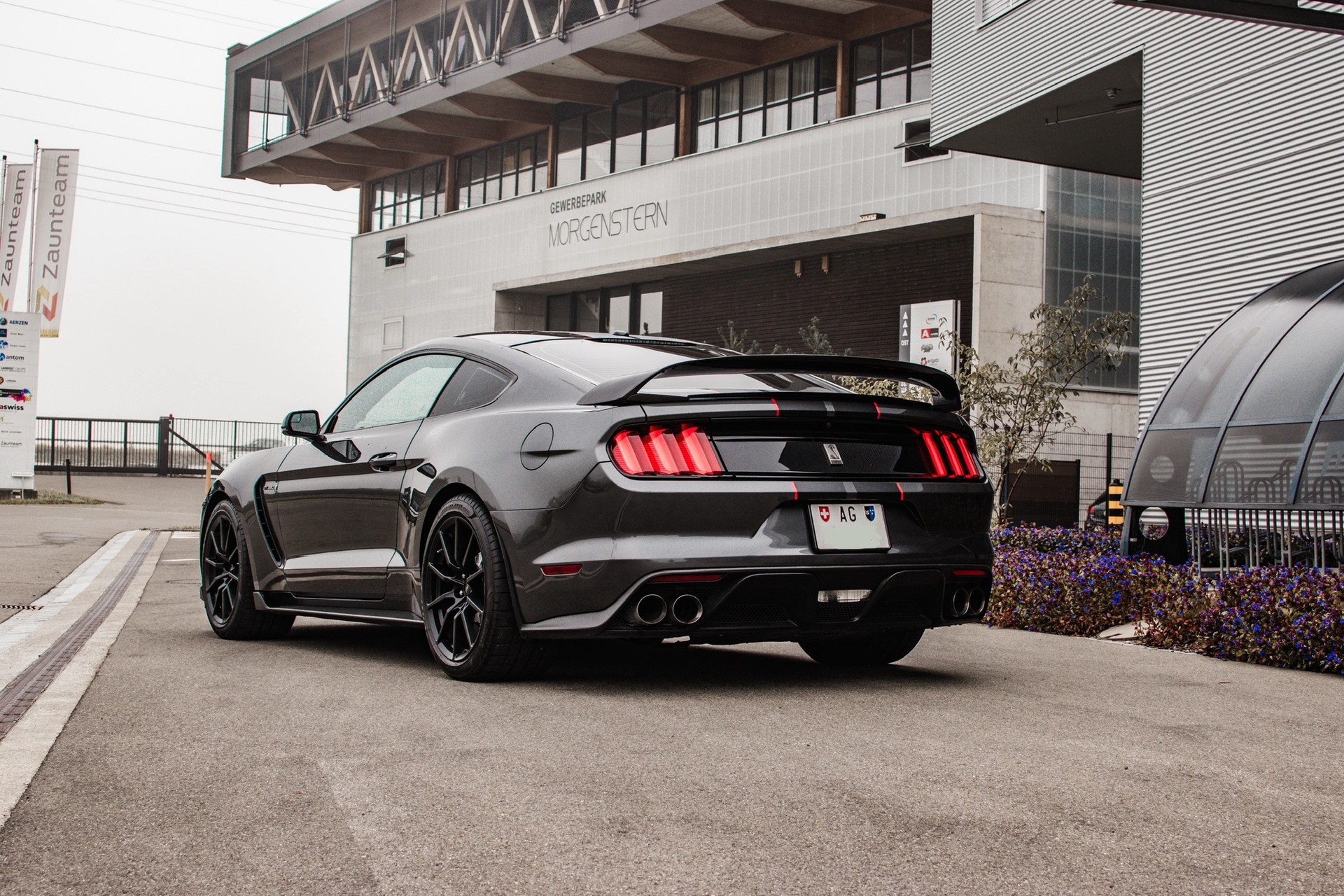 FORD Shelby GT350-image-2