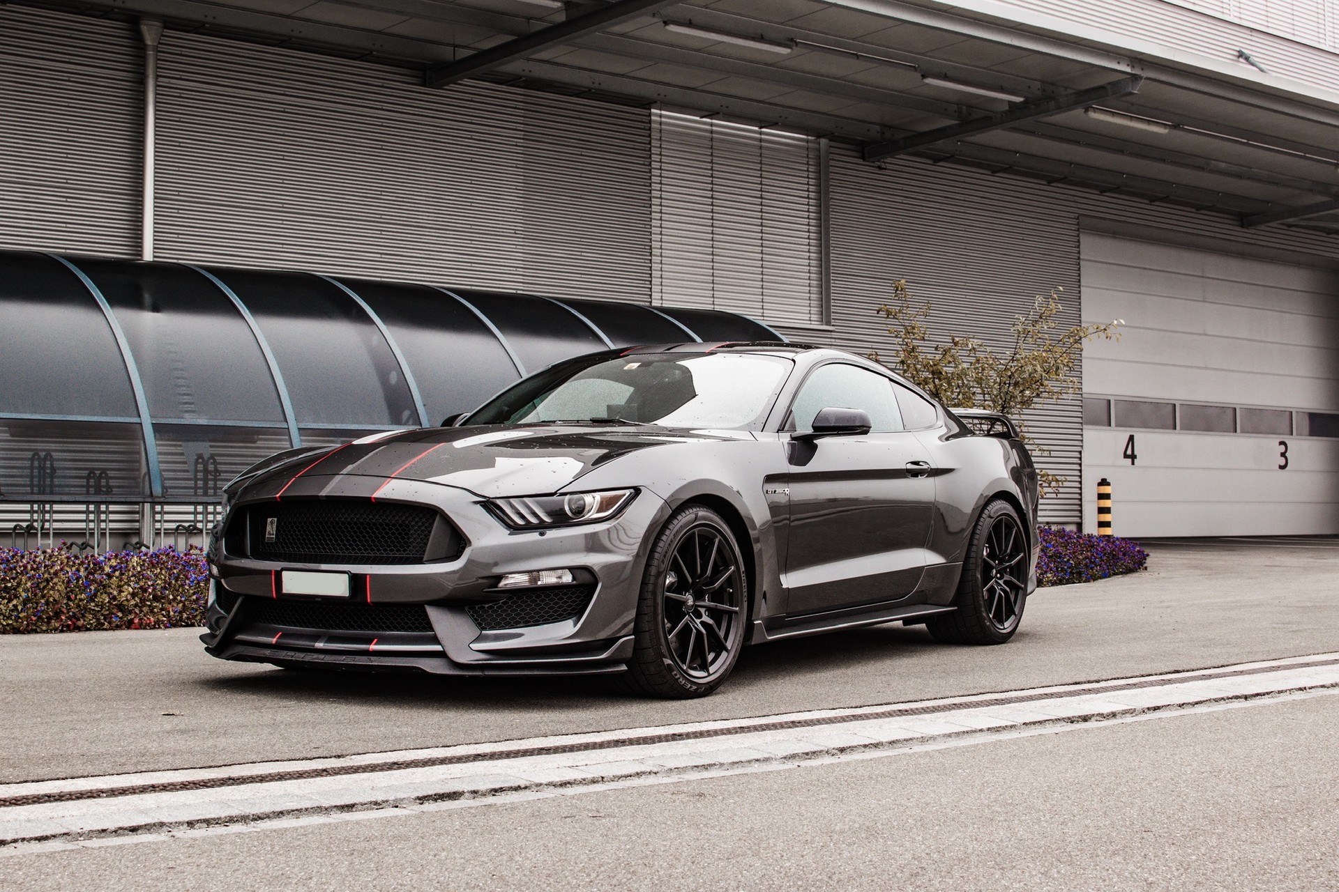 FORD Shelby GT350-image-0