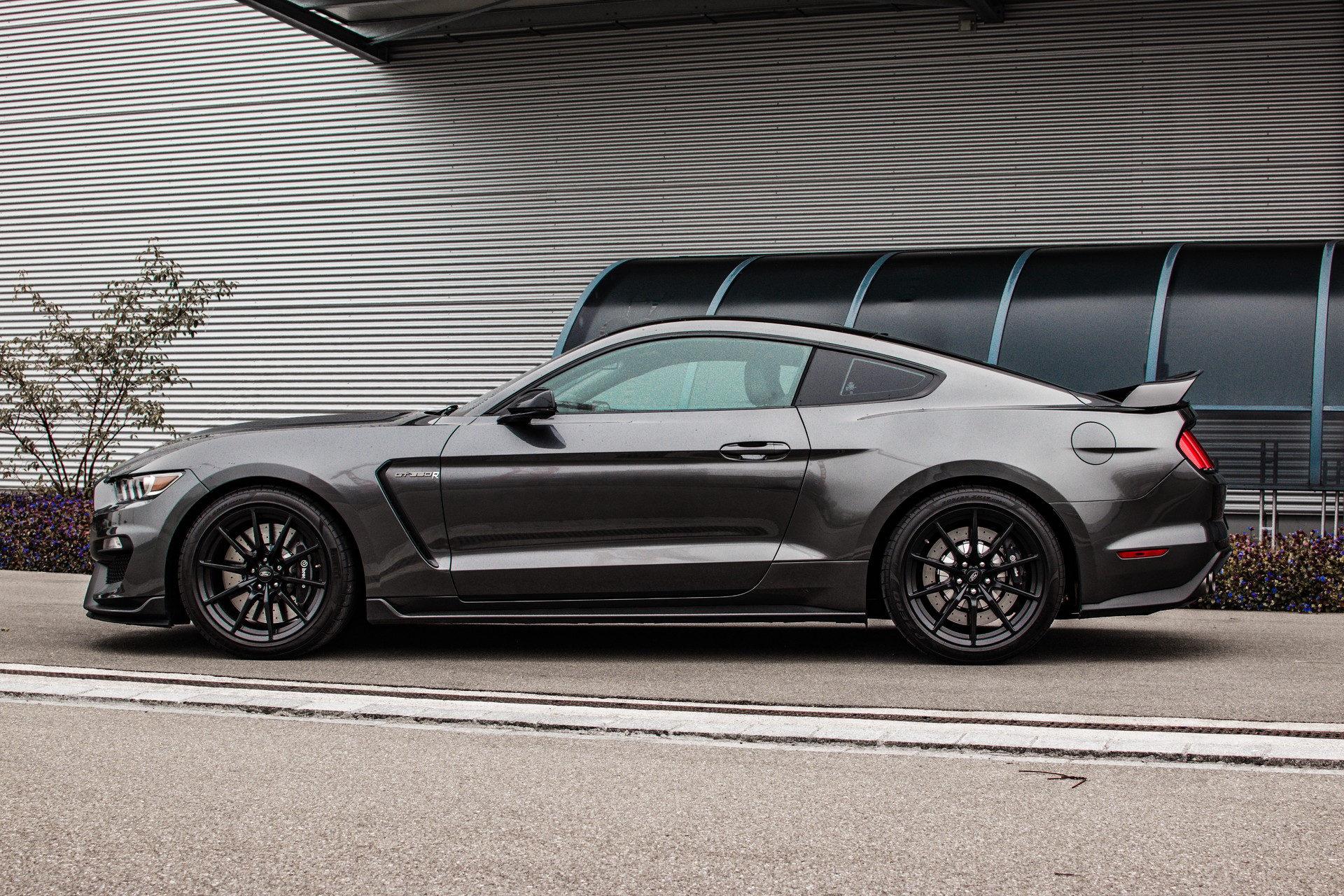 FORD Shelby GT350-image-1