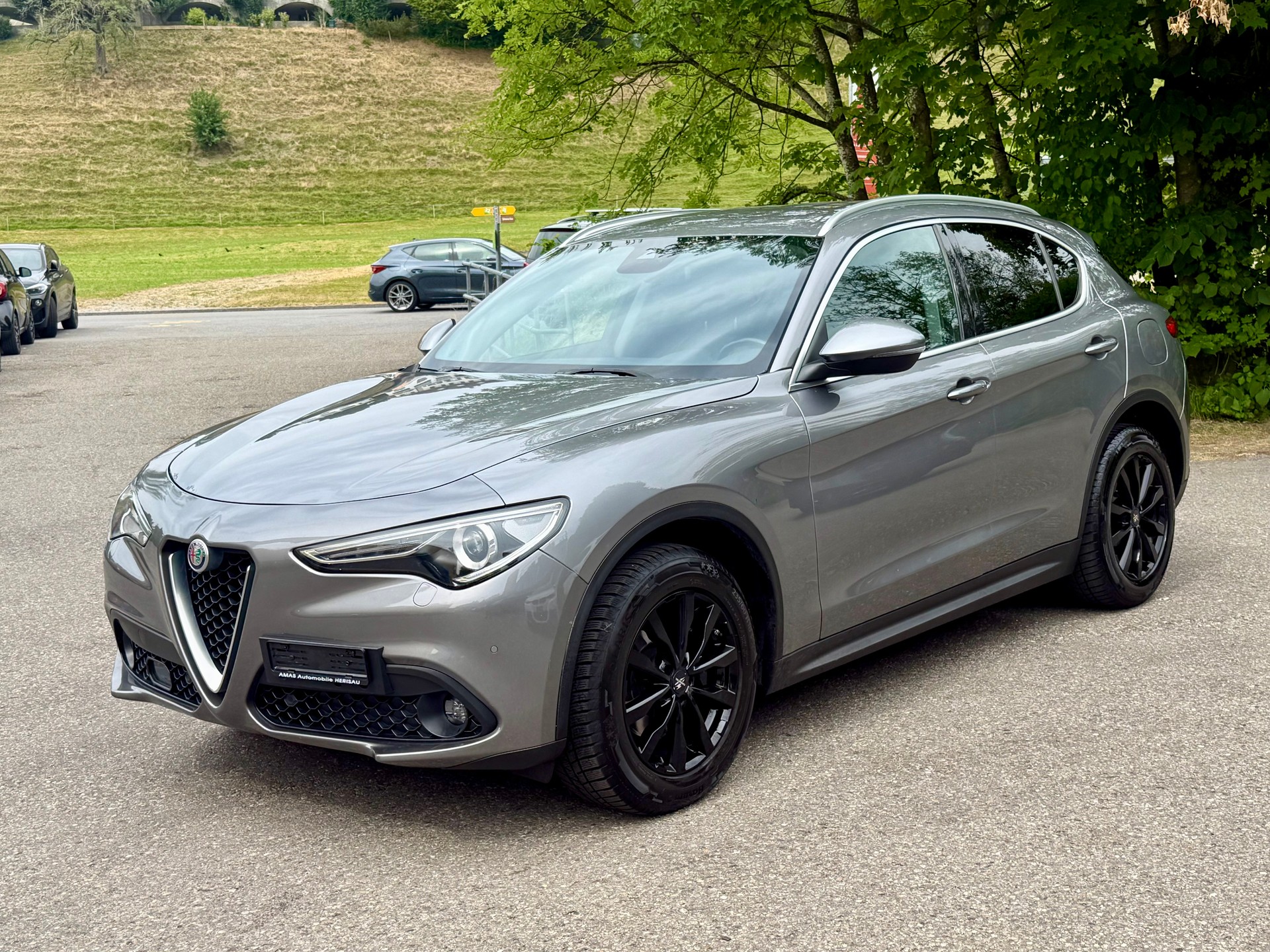 ALFA ROMEO Stelvio 2.2 JTDM Executive Q4 Automatic-image-1