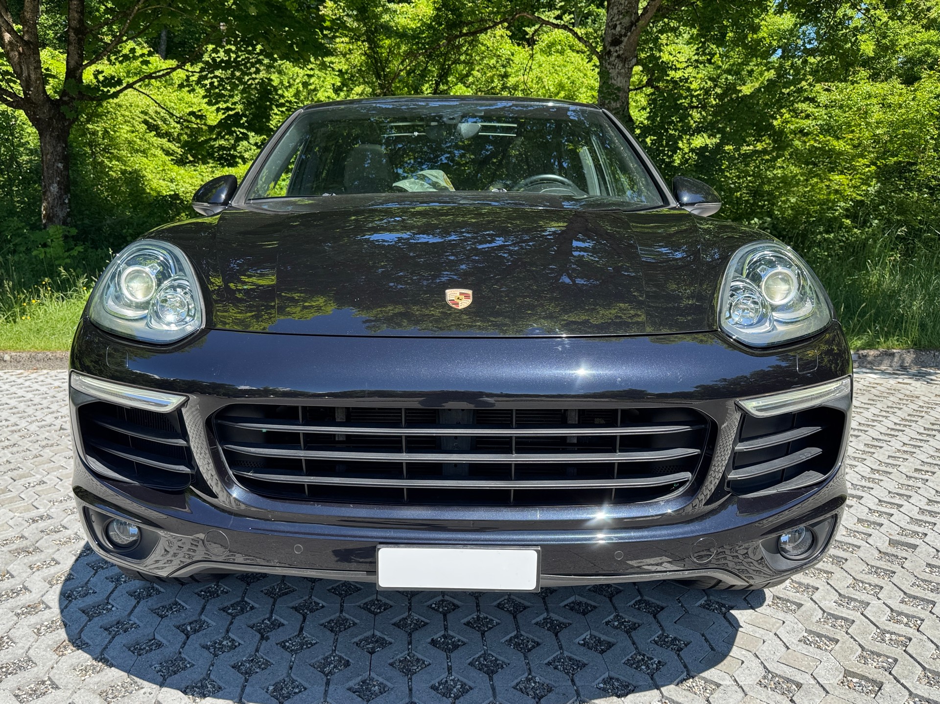 PORSCHE Cayenne S E-Hybrid-image-8