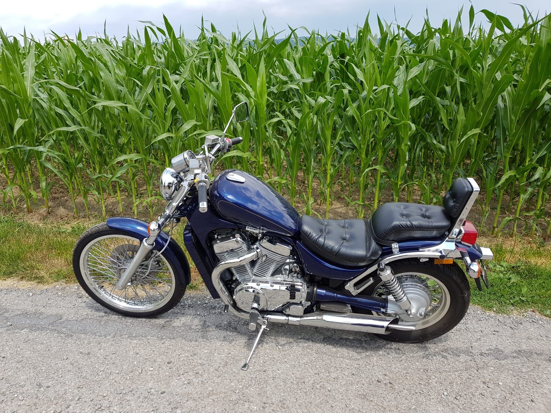 SUZUKI VS 800 GL Intruder R-X