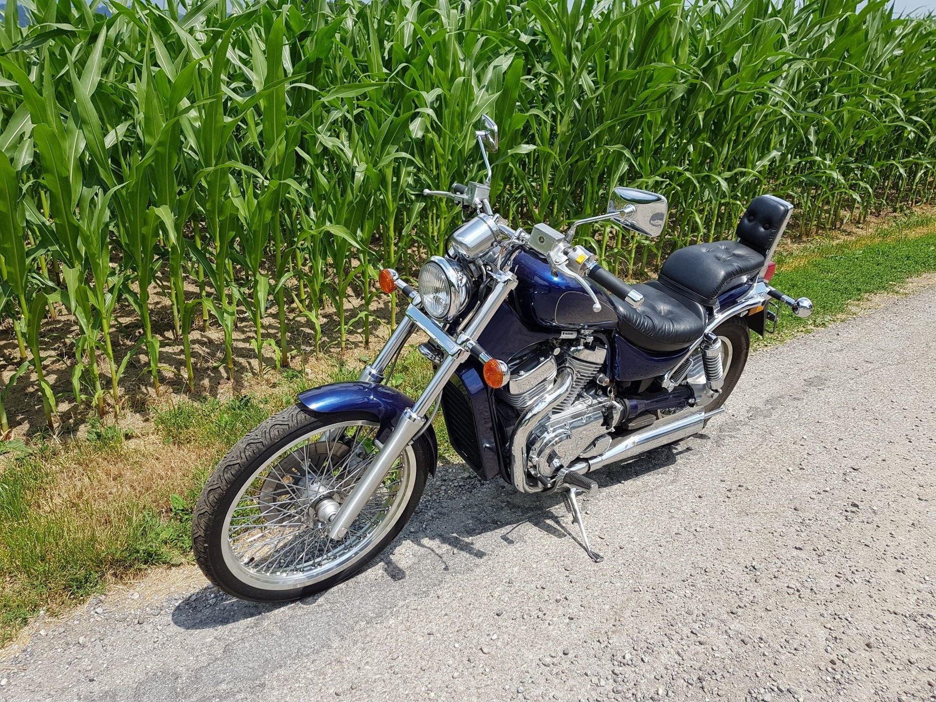 SUZUKI VS 800 GL Intruder R-X-image-1