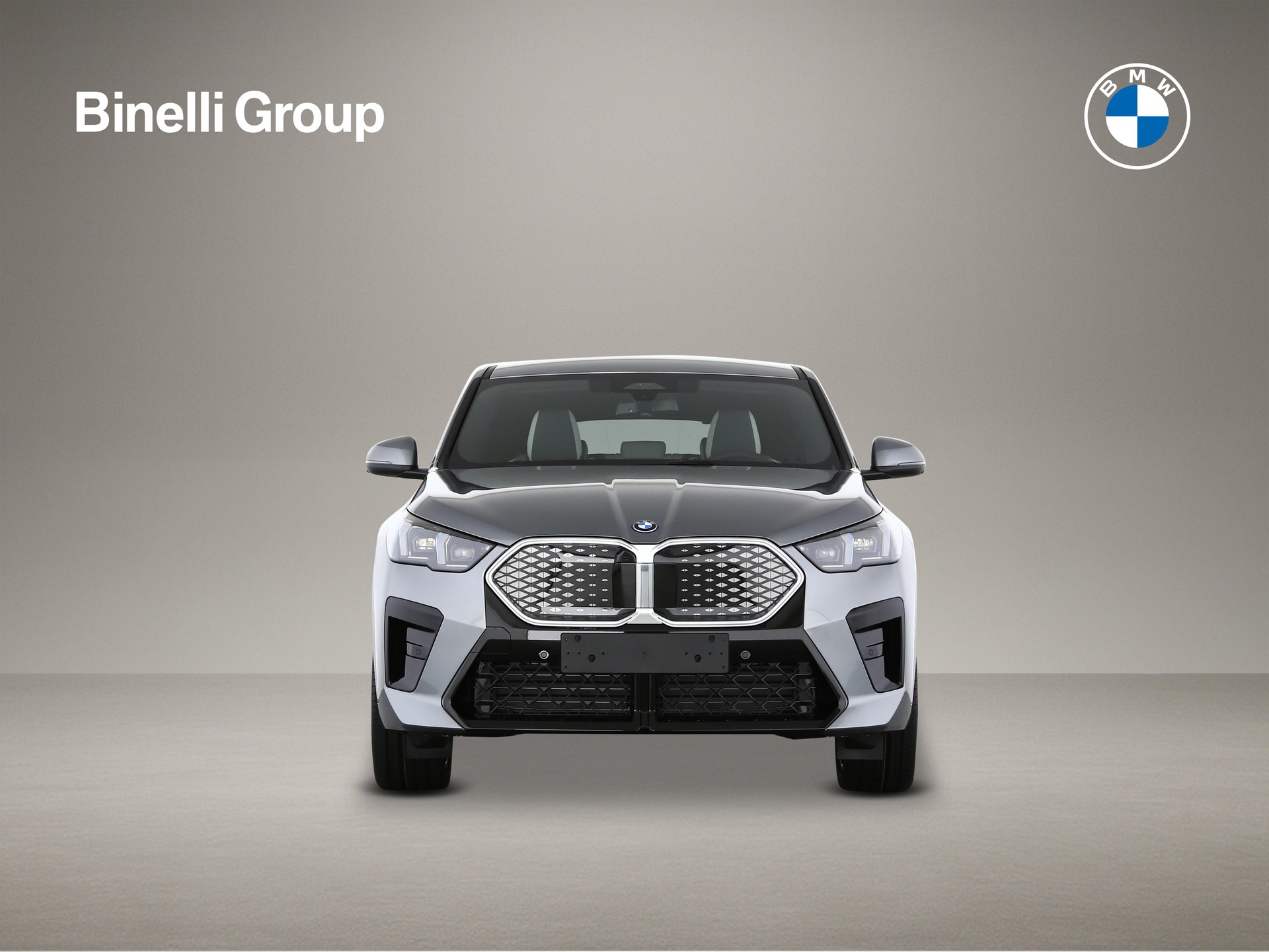 BMW iX2 30 xDrive-image-1