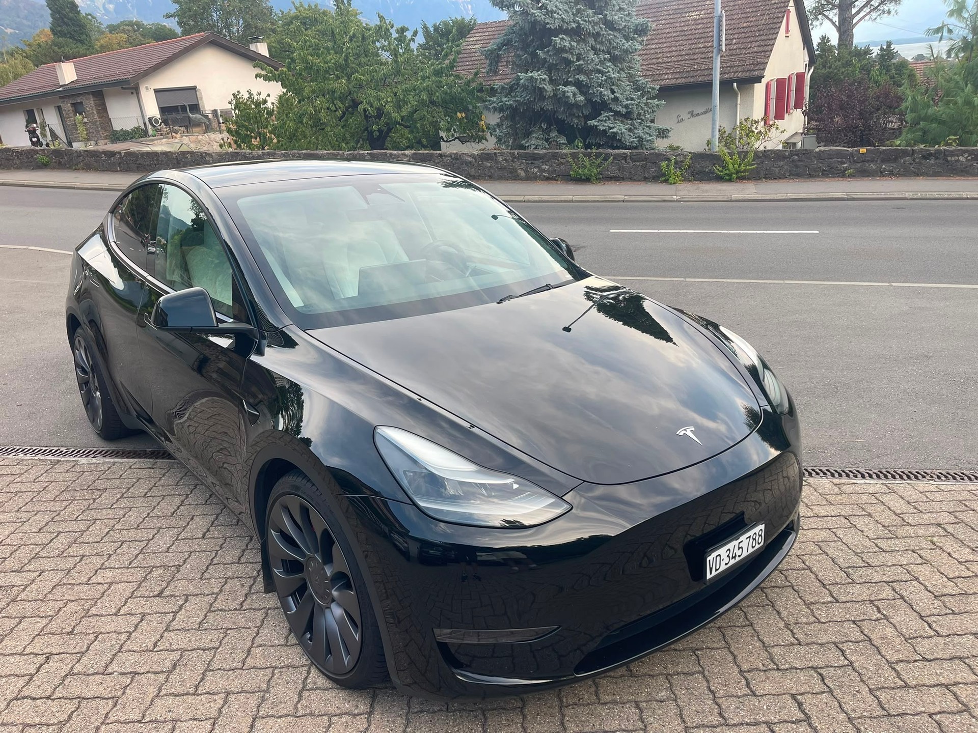 TESLA Model Y Performance-image-0