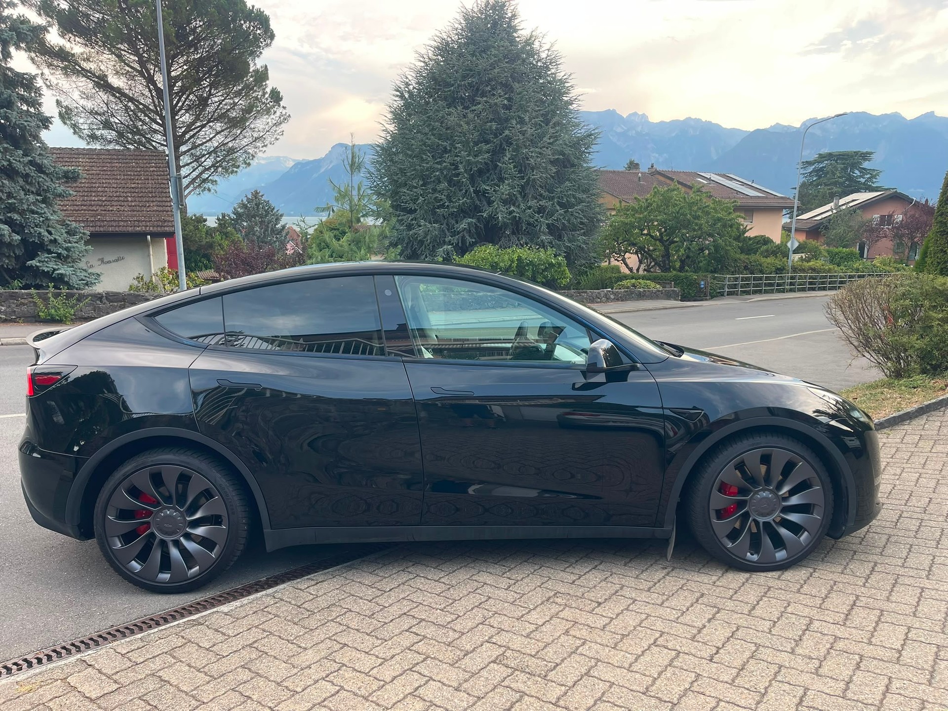 TESLA Model Y Performance-image-1