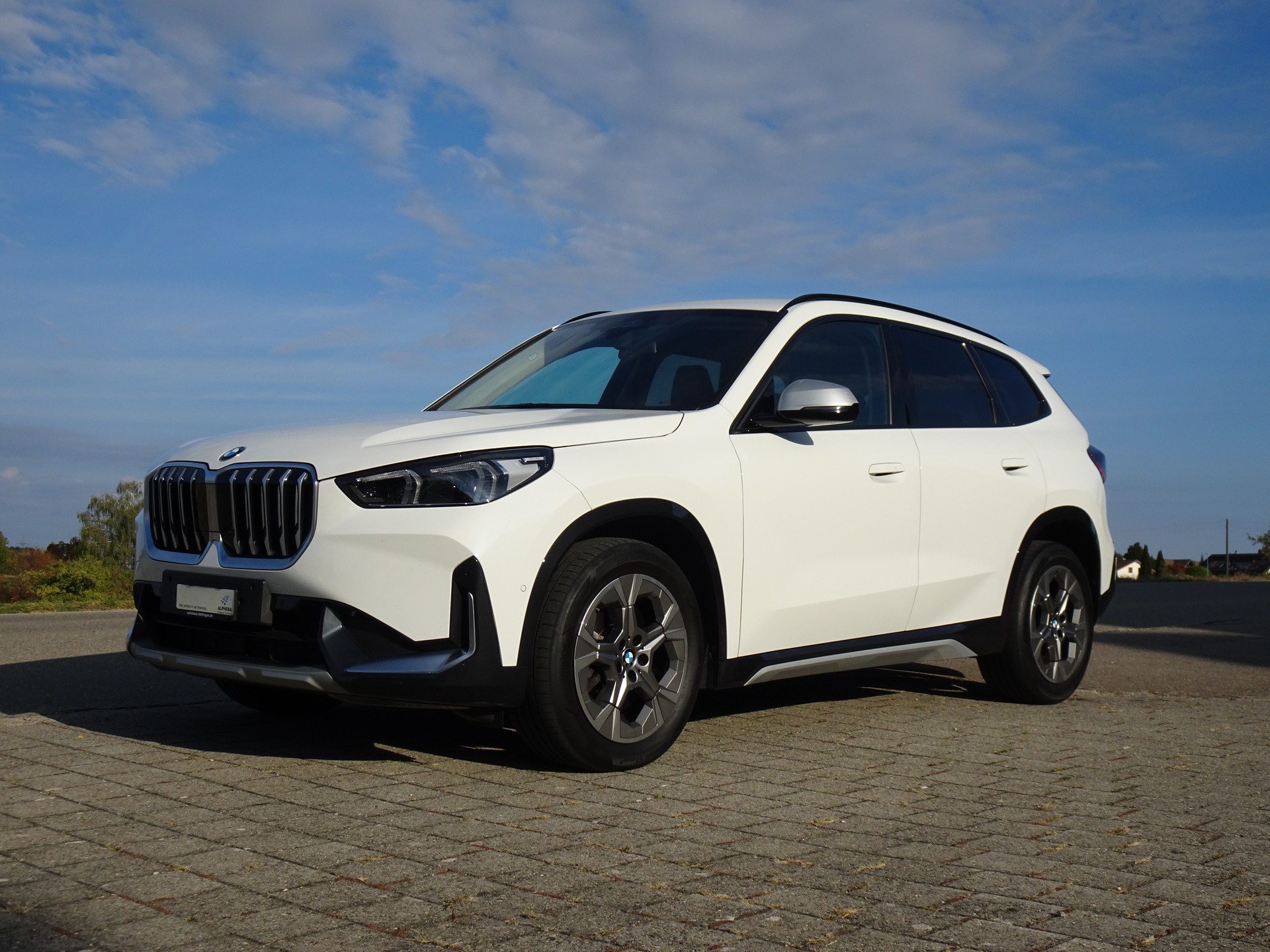 BMW X1 xDrive 23d 48V xLine-image-0