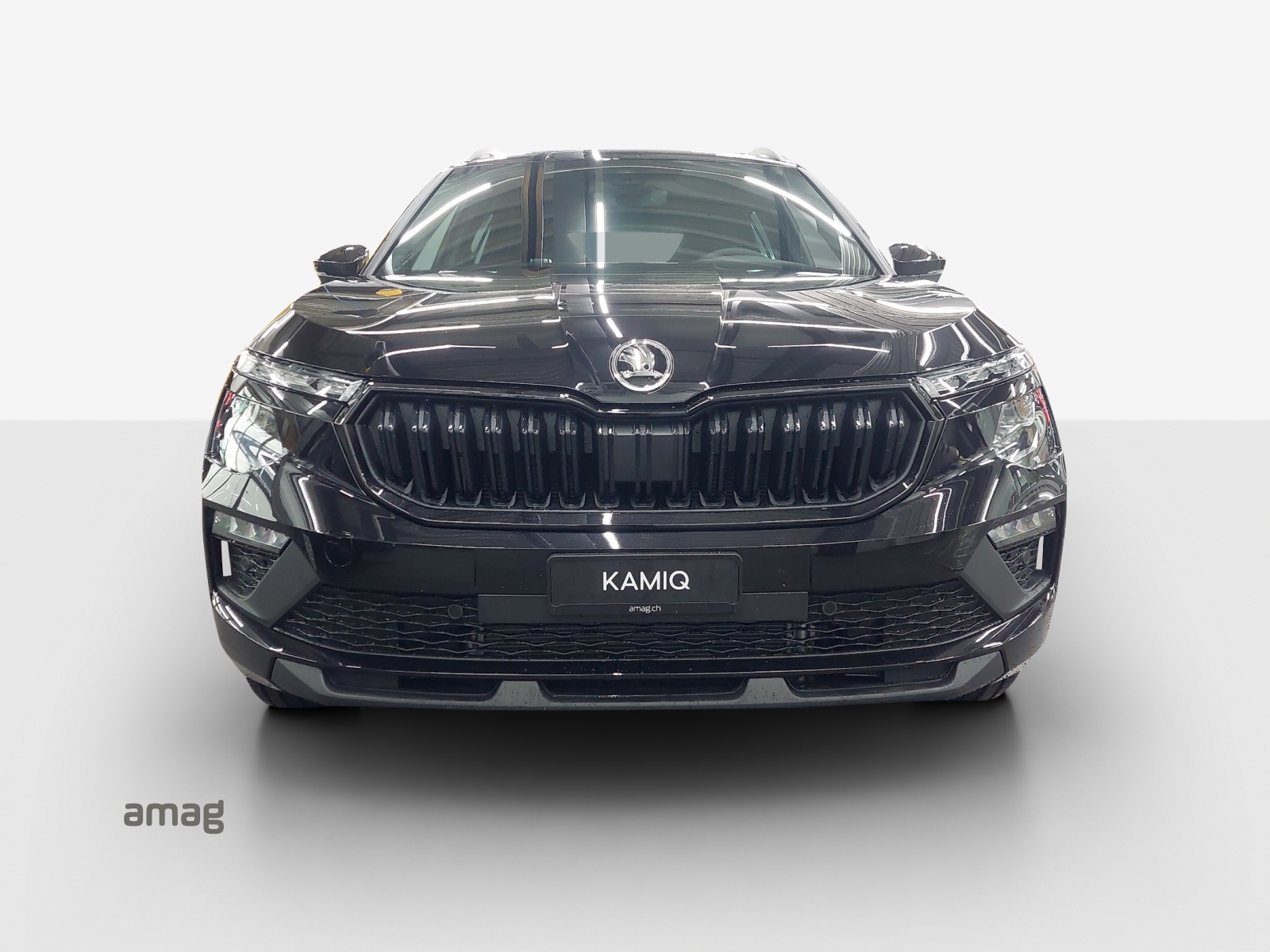 SKODA Kamiq 1.0 TSI Dynamic DSG-image-6