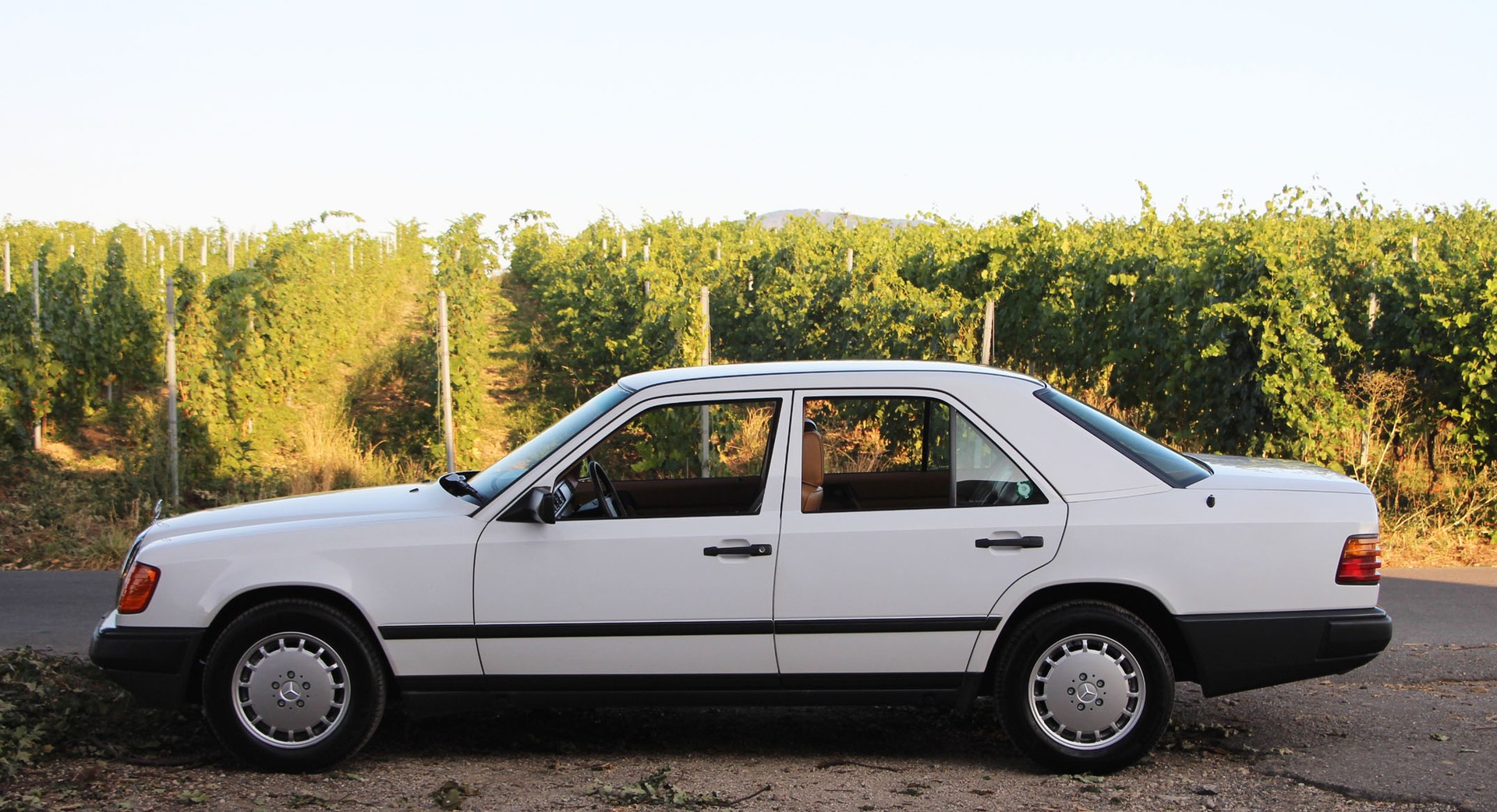 MERCEDES-BENZ 230 E-image-17