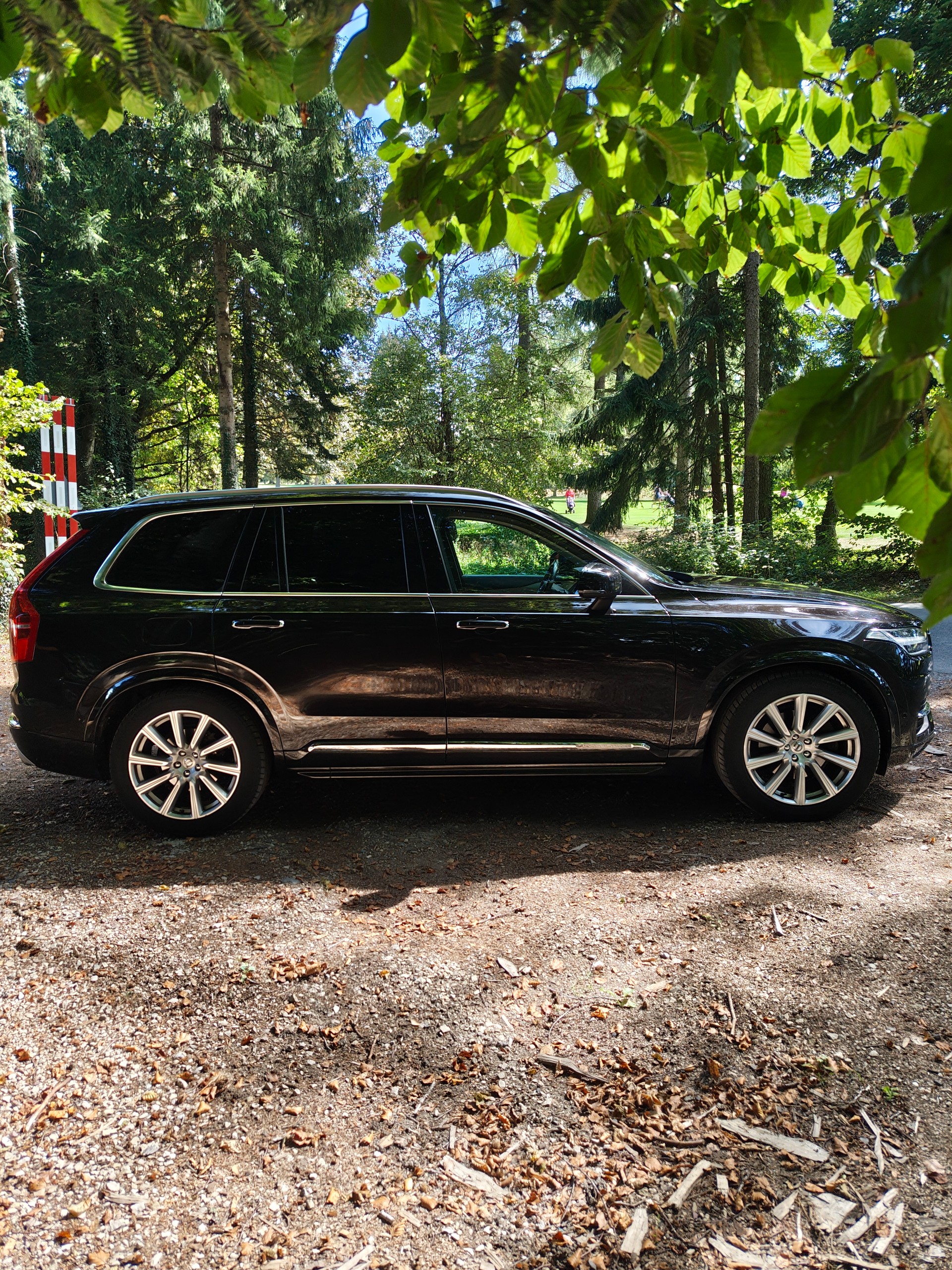 VOLVO 2.0 T6 Inscription 7P. AWD-image-3