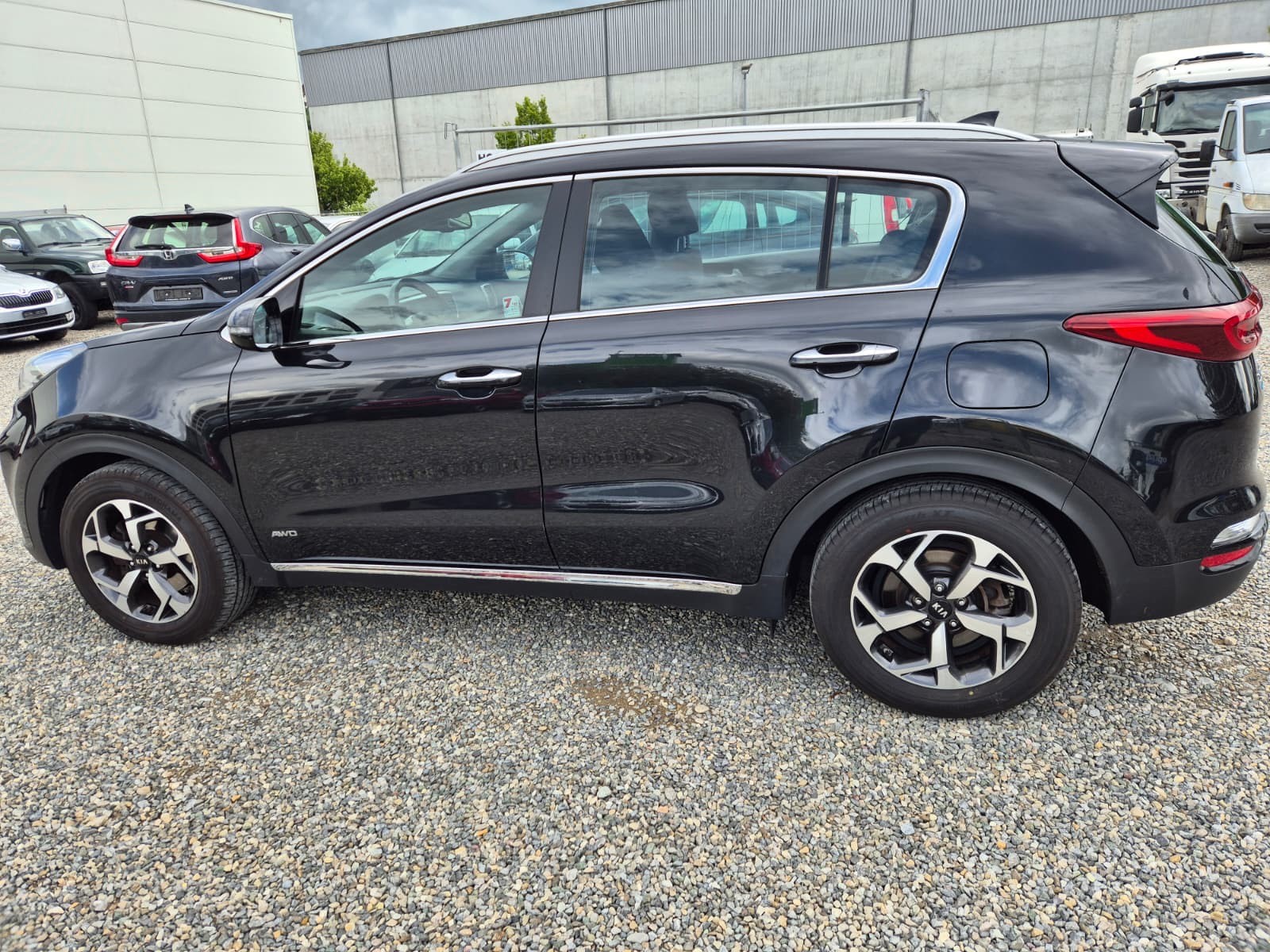 KIA Sportage 1.6CRDi Mild Hybrid Power 25 4WD Automat-image-3
