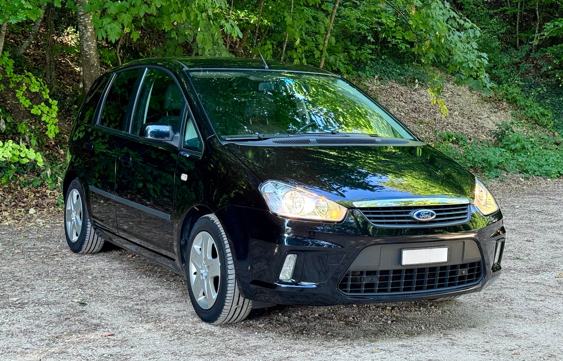 FORD C-Max 1.8i 16V Carving-image-1