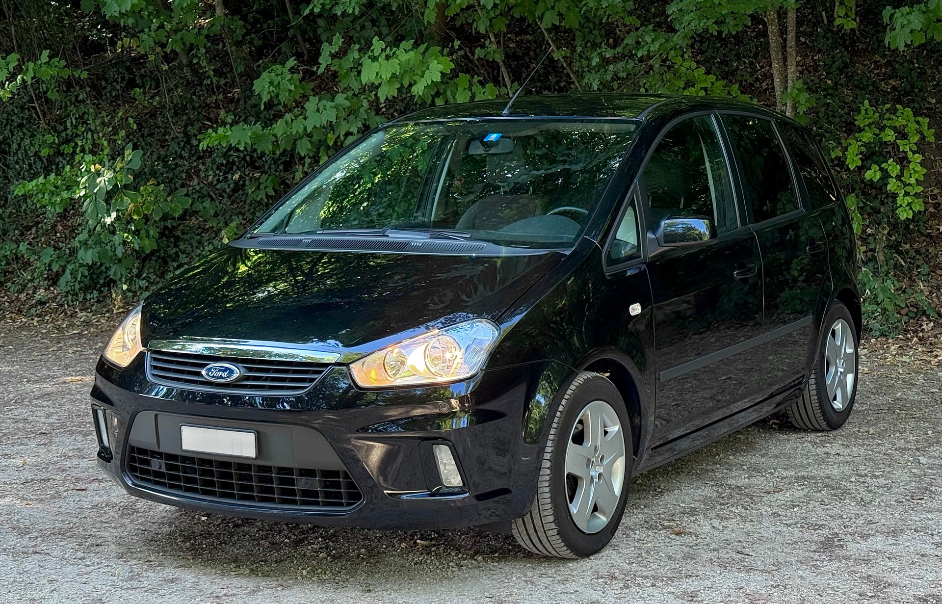 FORD C-Max 1.8i 16V Carving-image-0