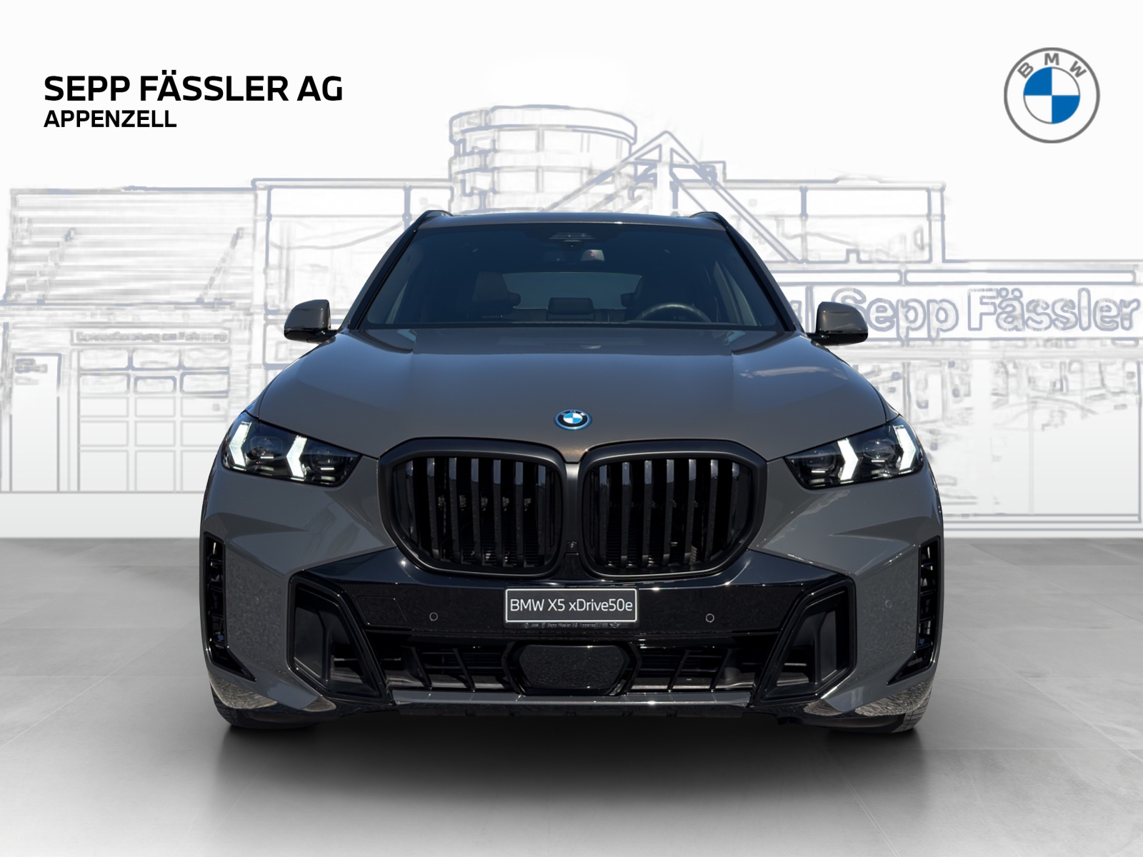 BMW X5 xDrive 50e M Sport Pro Steptronic-image-7