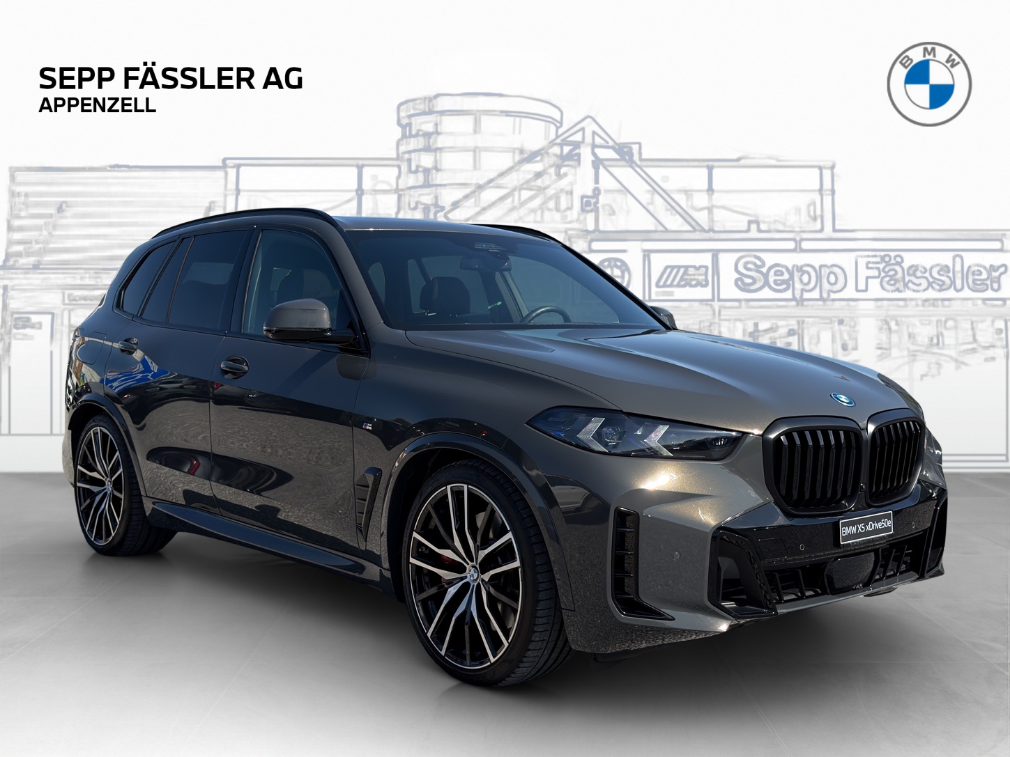 BMW X5 xDrive 50e M Sport Pro Steptronic-image-6