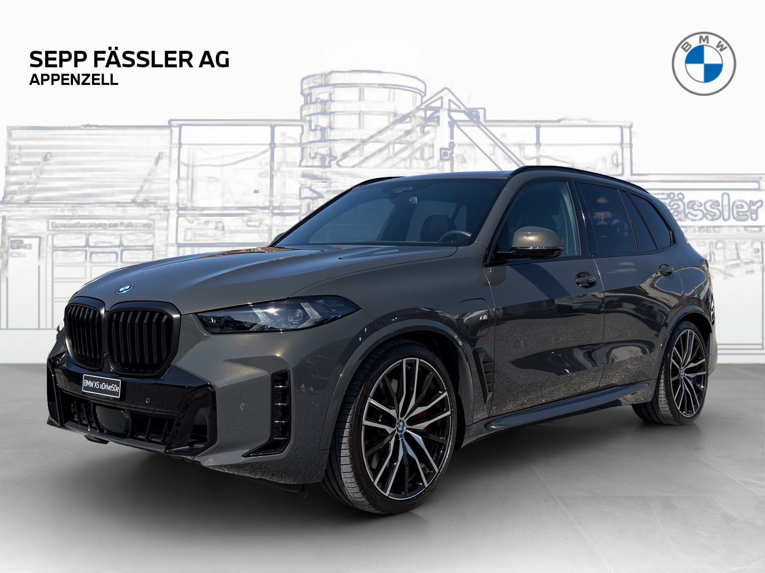 BMW X5 xDrive 50e M Sport Pro Steptronic-image-0