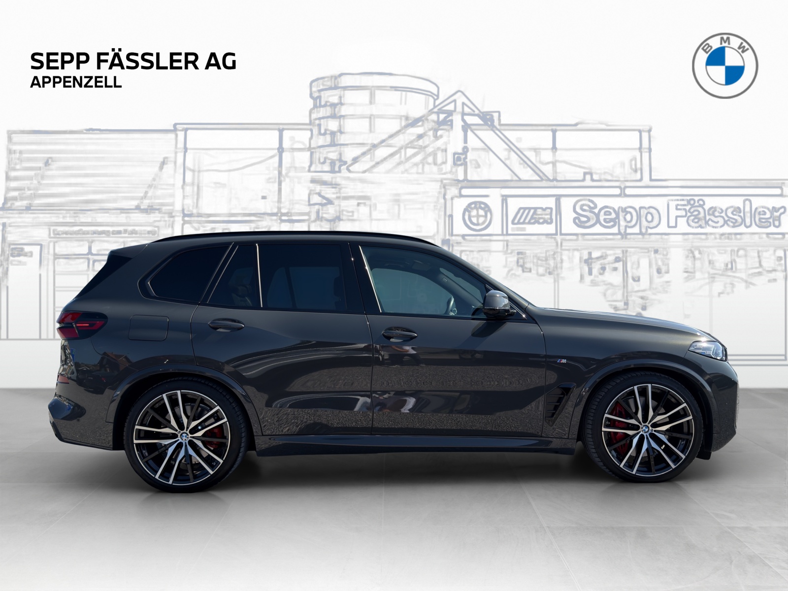 BMW X5 xDrive 50e M Sport Pro Steptronic-image-5