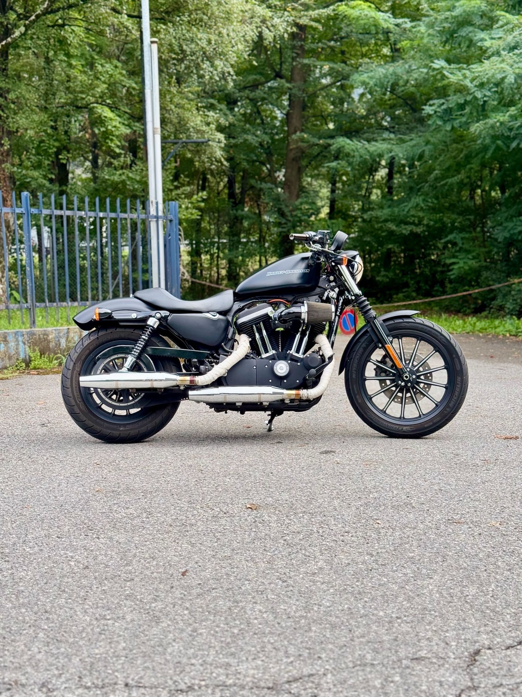 HARLEY-DAVIDSON XL 883 N Sportster Iron