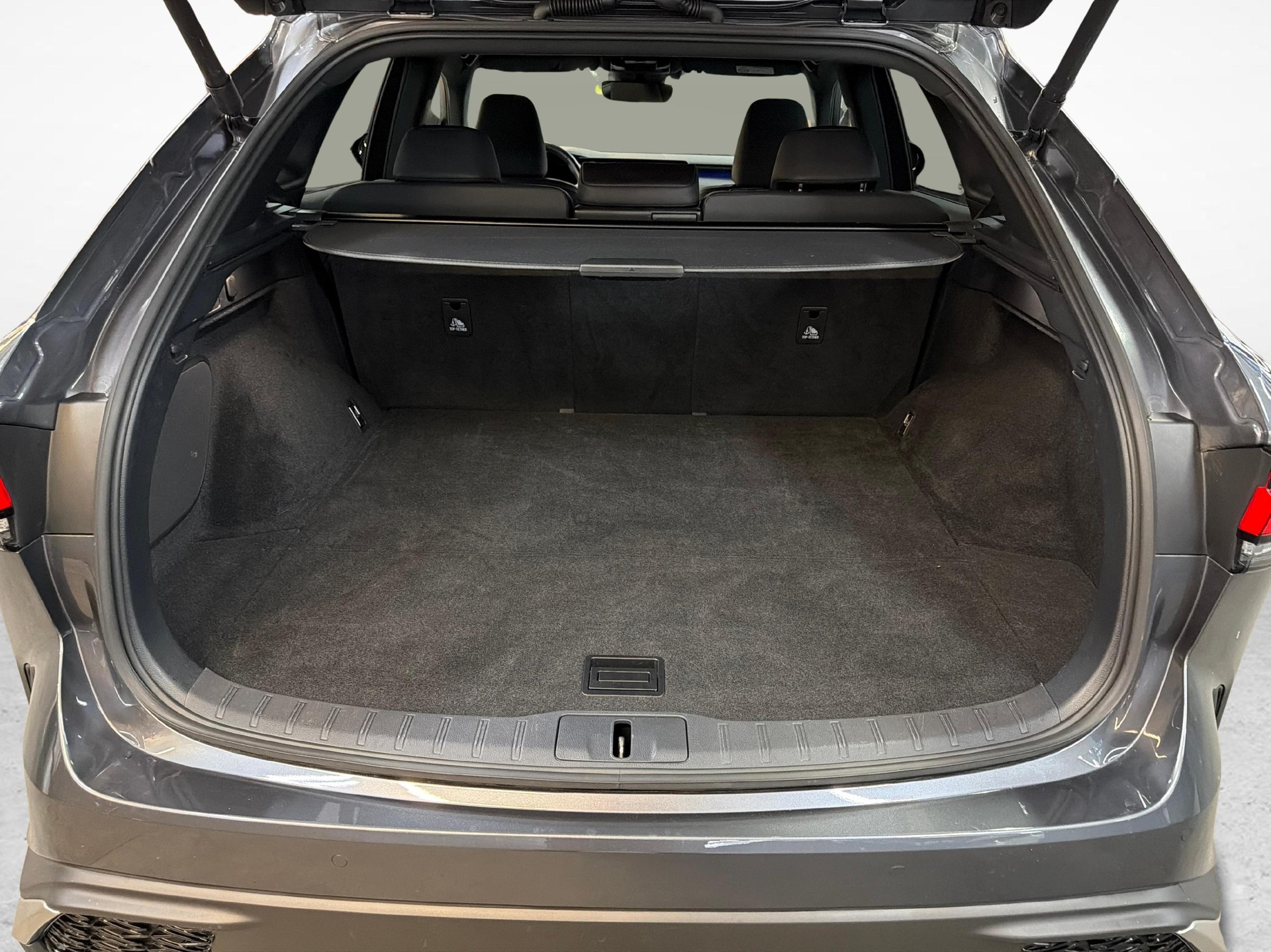LEXUS RX 350h F-Line-image-11
