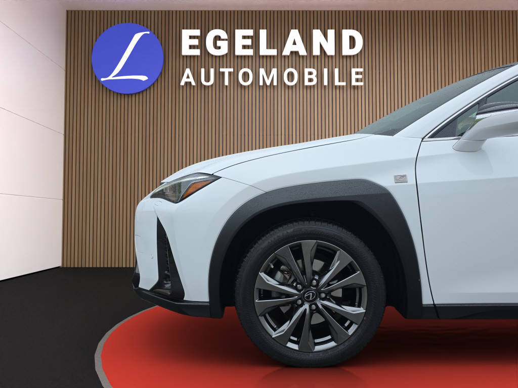 LEXUS UX 250h F-Line-image-9