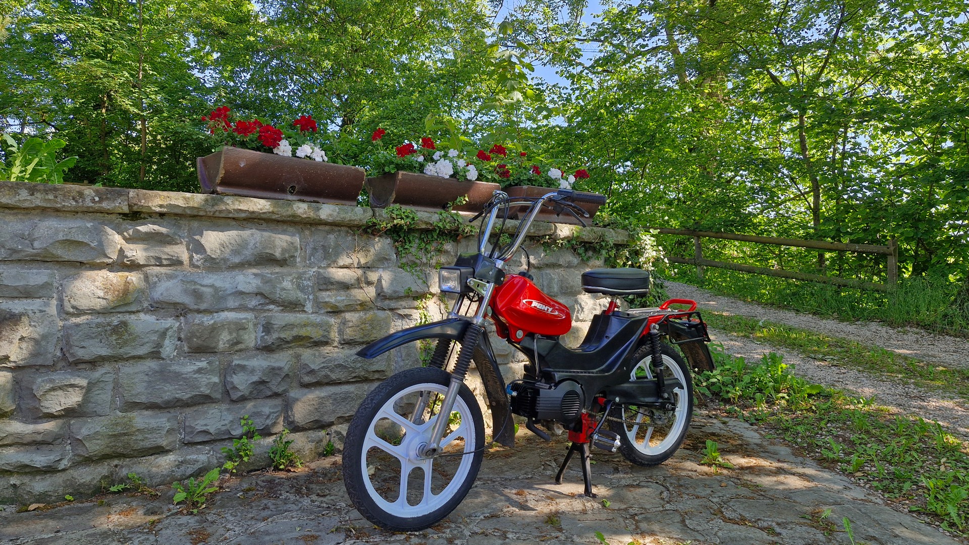 PONY Cross 521