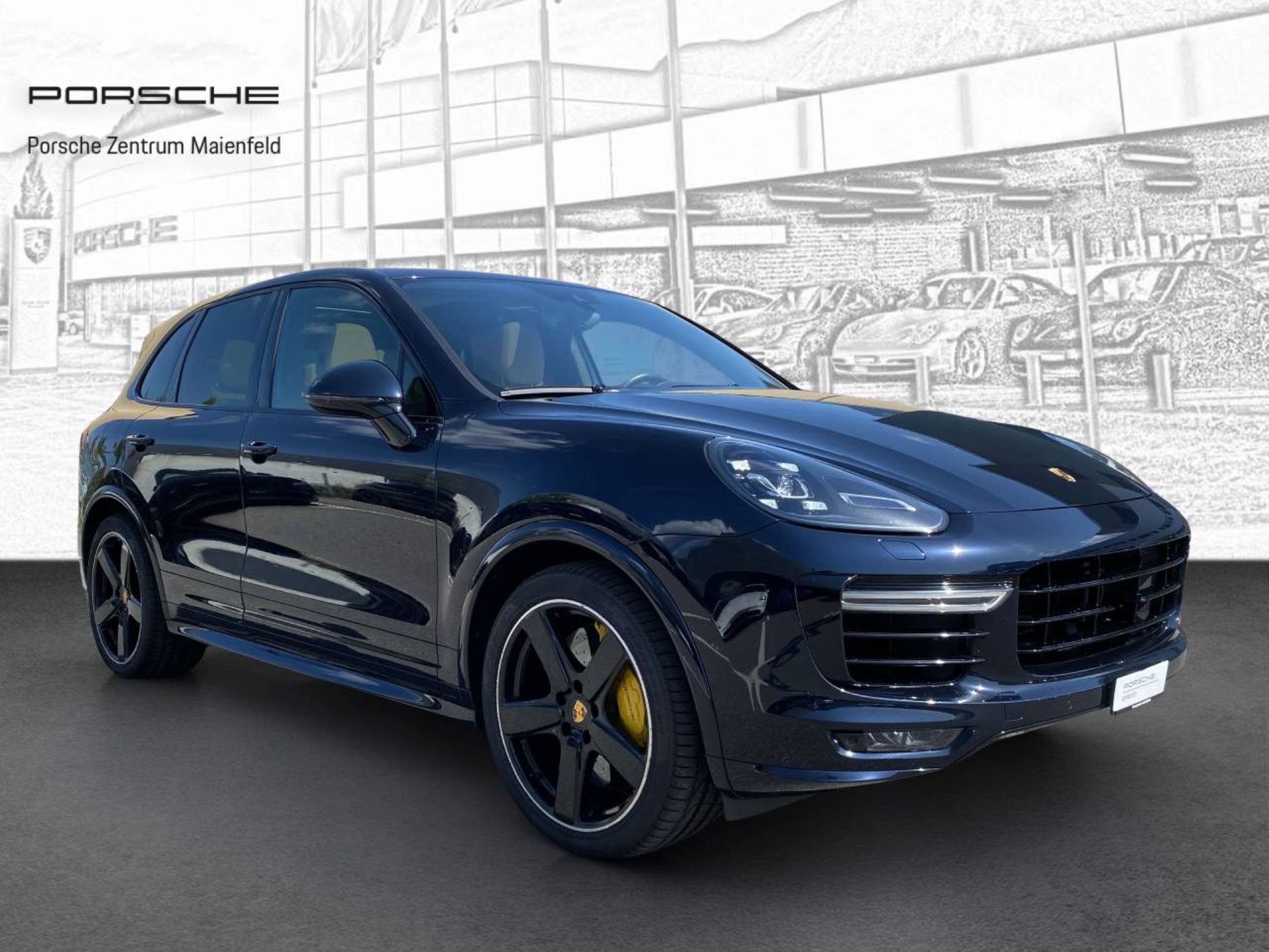PORSCHE Cayenne Turbo S-image-10