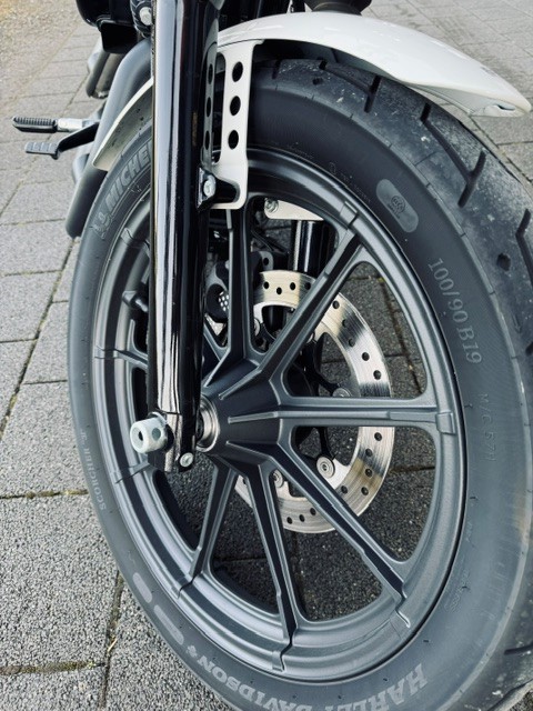 HARLEY-DAVIDSON XL 1200 NS Iron ABS-image-10