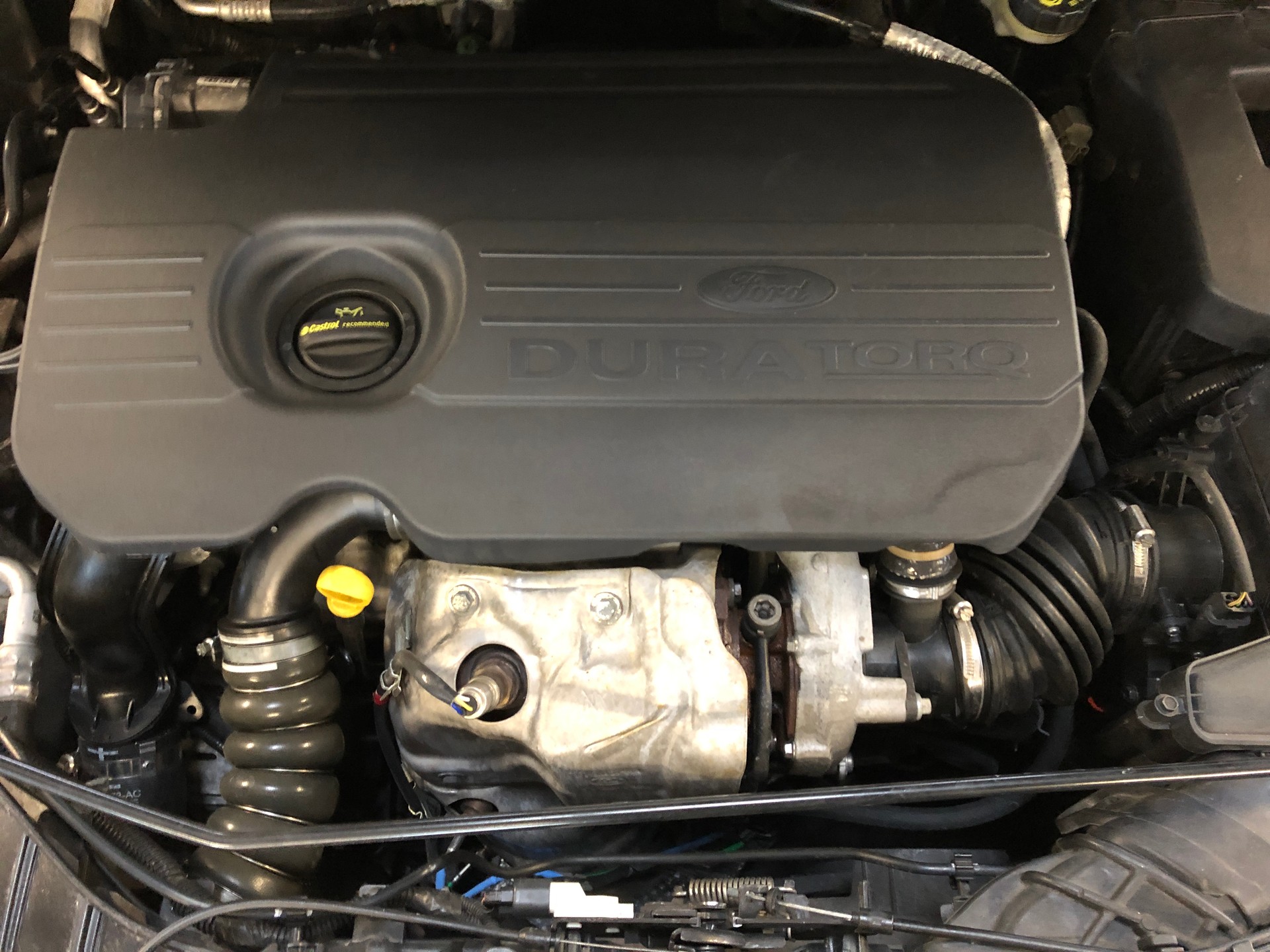 FORD Focus 1.5 TDCi ECOnetic Business-image-15