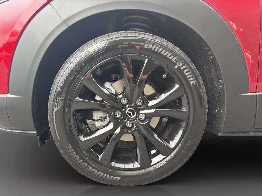 MAZDA CX-30 2.0/186 Homura 4x4-image-8