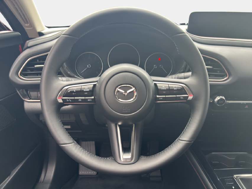 MAZDA CX-30 2.0/186 Homura 4x4-image-12