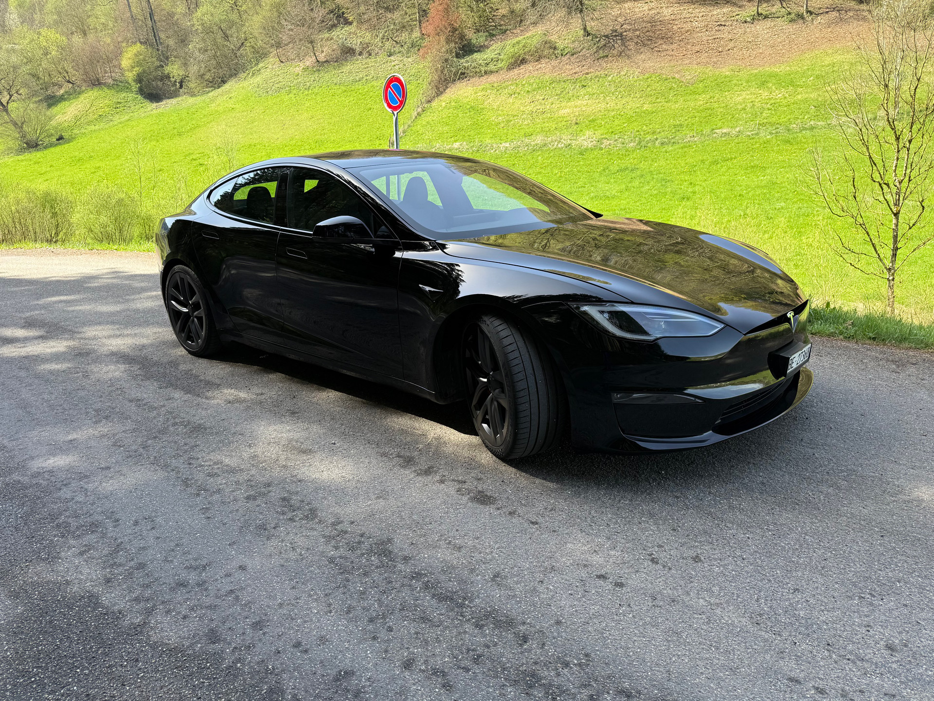 TESLA Model S 100 kWh Plaid-image-1